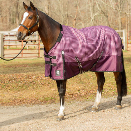 Equinavia Norse Heavy Weight Turnout Blanket 300g