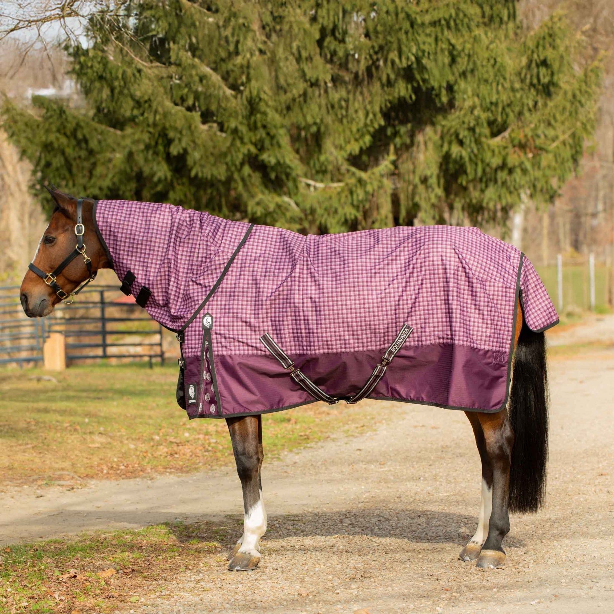 Equinavia Norse Heavy Weight Turnout Blanket 300g