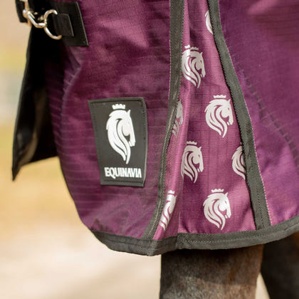 Equinavia Norse Heavy Weight Turnout Blanket 300g