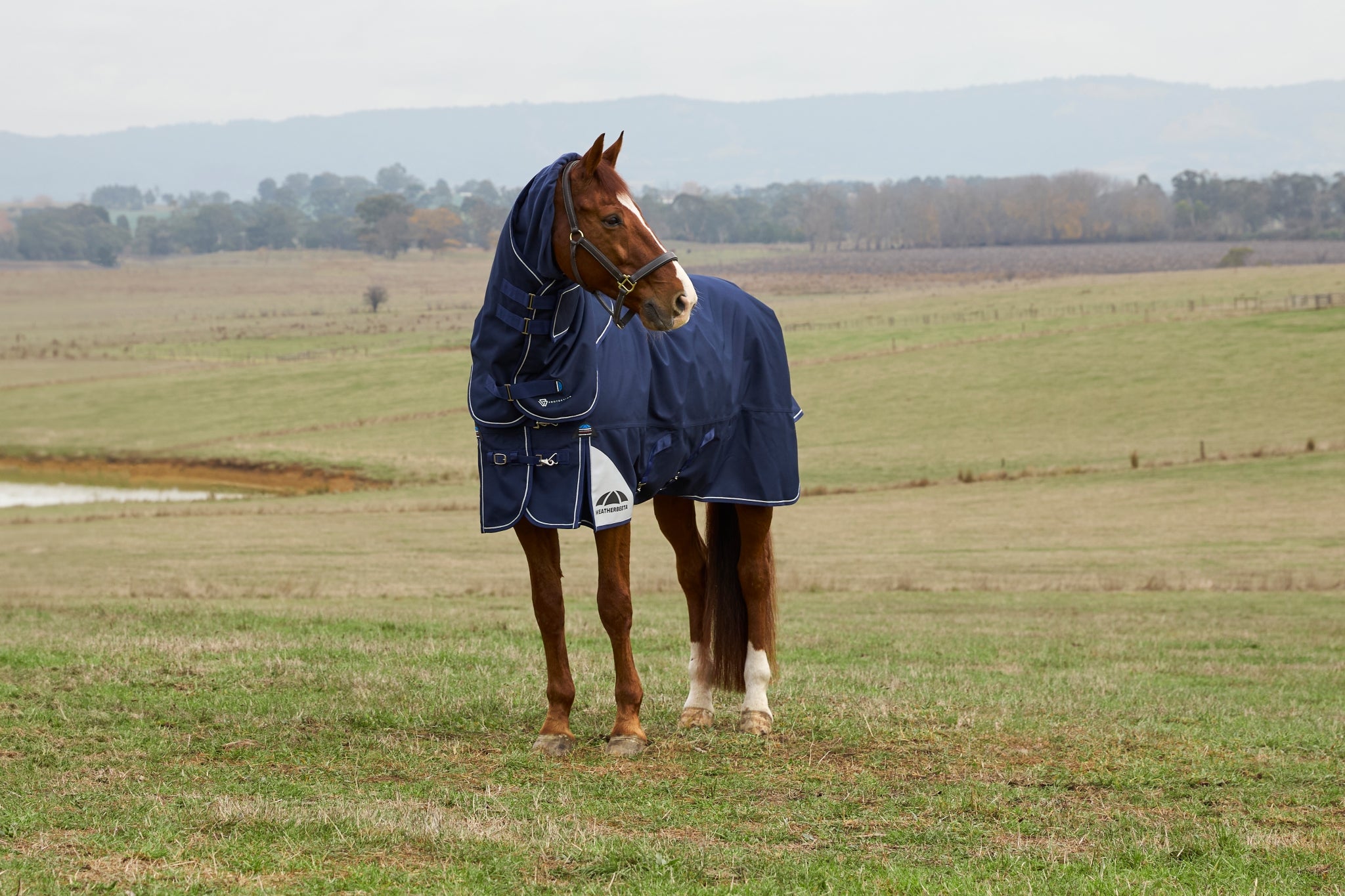 Weatherbeeta ComFiTec Ultra Turnout Detach-A-Neck 360g
