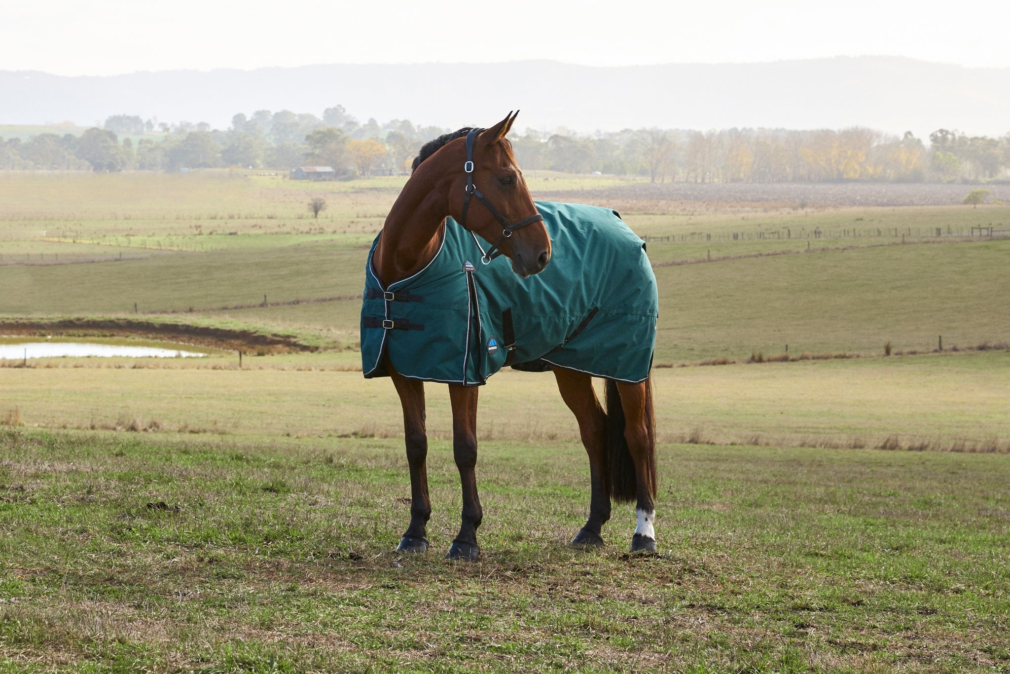 Weatherbeeta ComFiTec Plus Dynamic Turnout Detach-A-Neck 220g