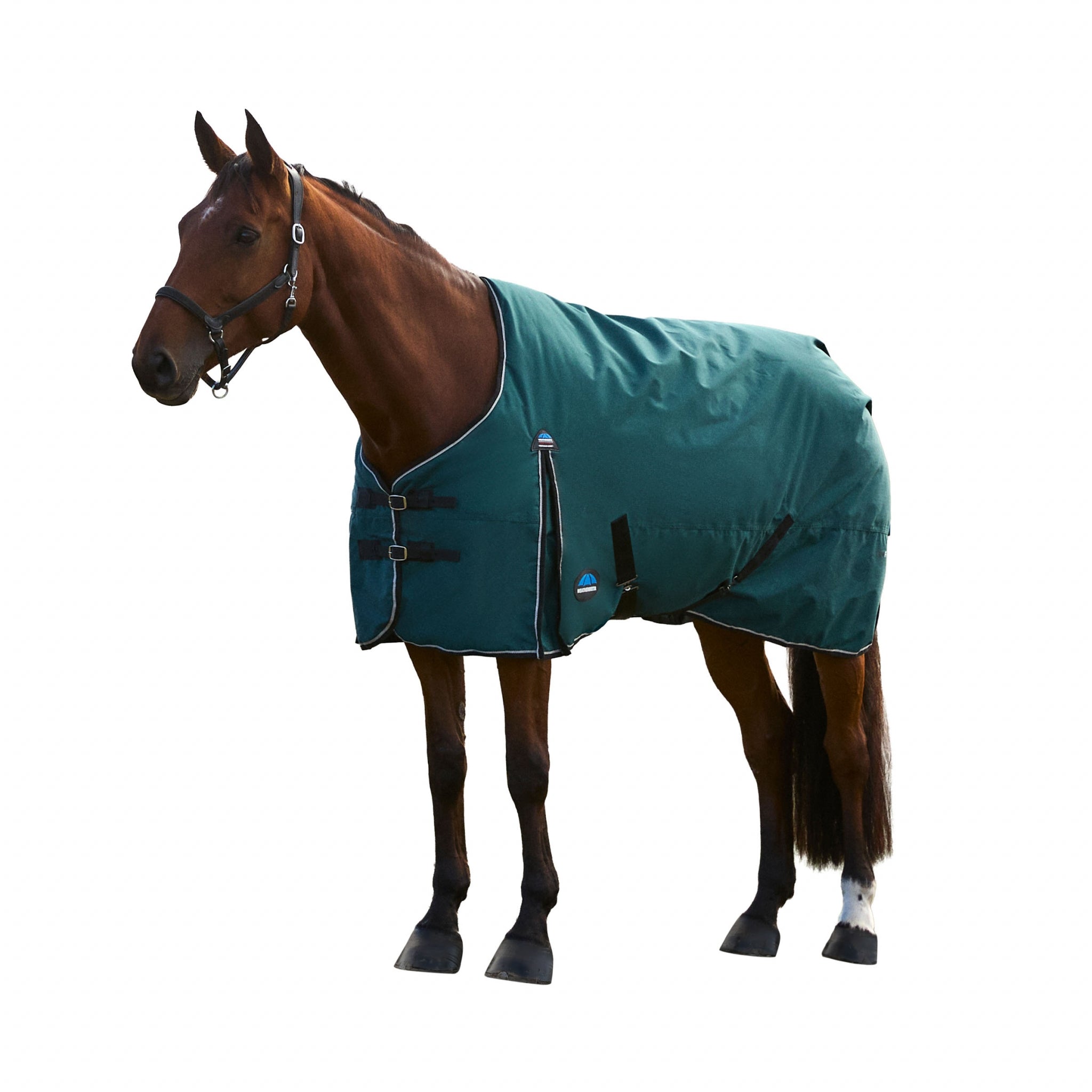 Weatherbeeta ComFiTec Plus Dynamic Turnout Detach-A-Neck 220g