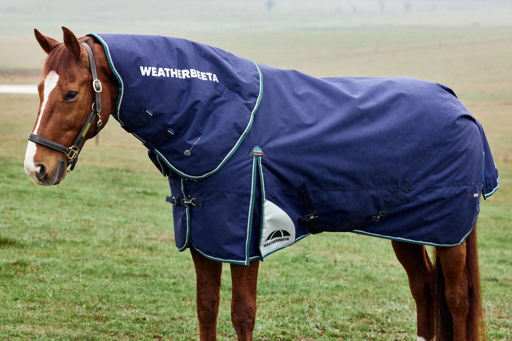 Weatherbeeta ComFiTec Plus Dynamic Turnout Detach-A-Neck 220g