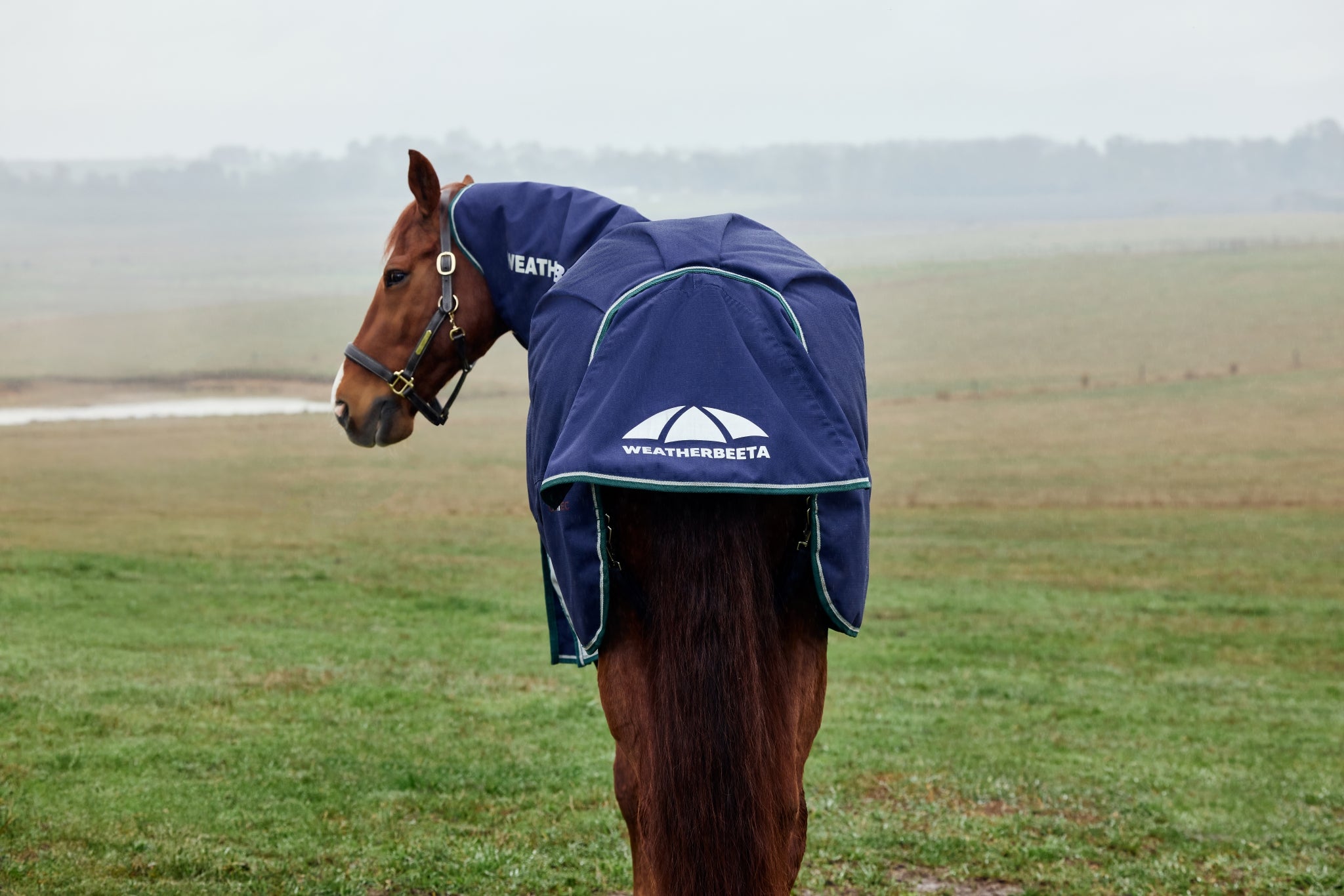 Weatherbeeta ComFiTec Plus Dynamic Turnout Detach-A-Neck 220g