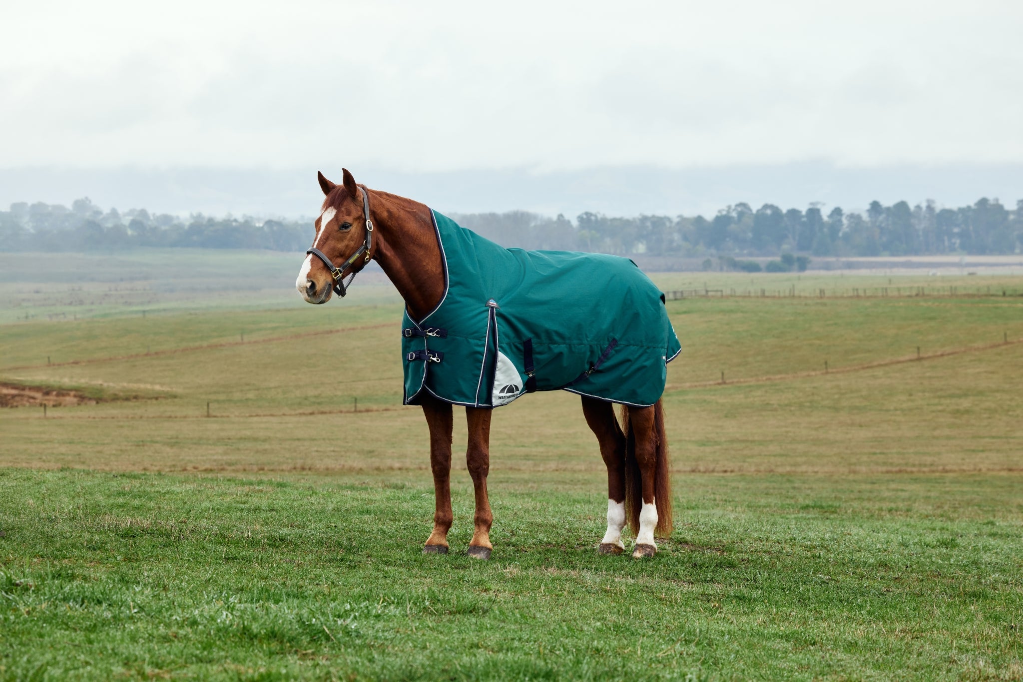 Weatherbeeta ComFiTec Plus Dynamic Turnout High Neck 220g