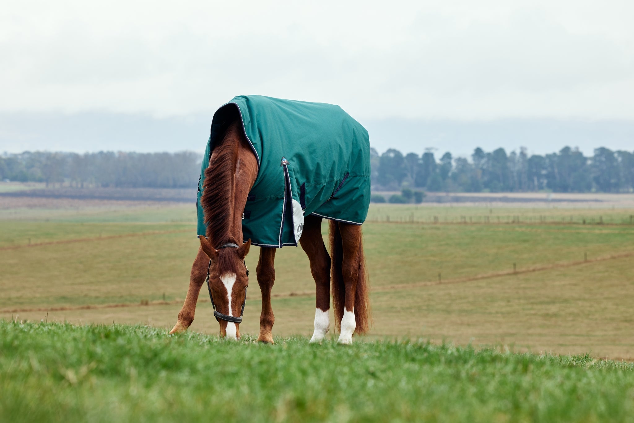 Weatherbeeta ComFiTec Plus Dynamic Turnout High Neck 220g
