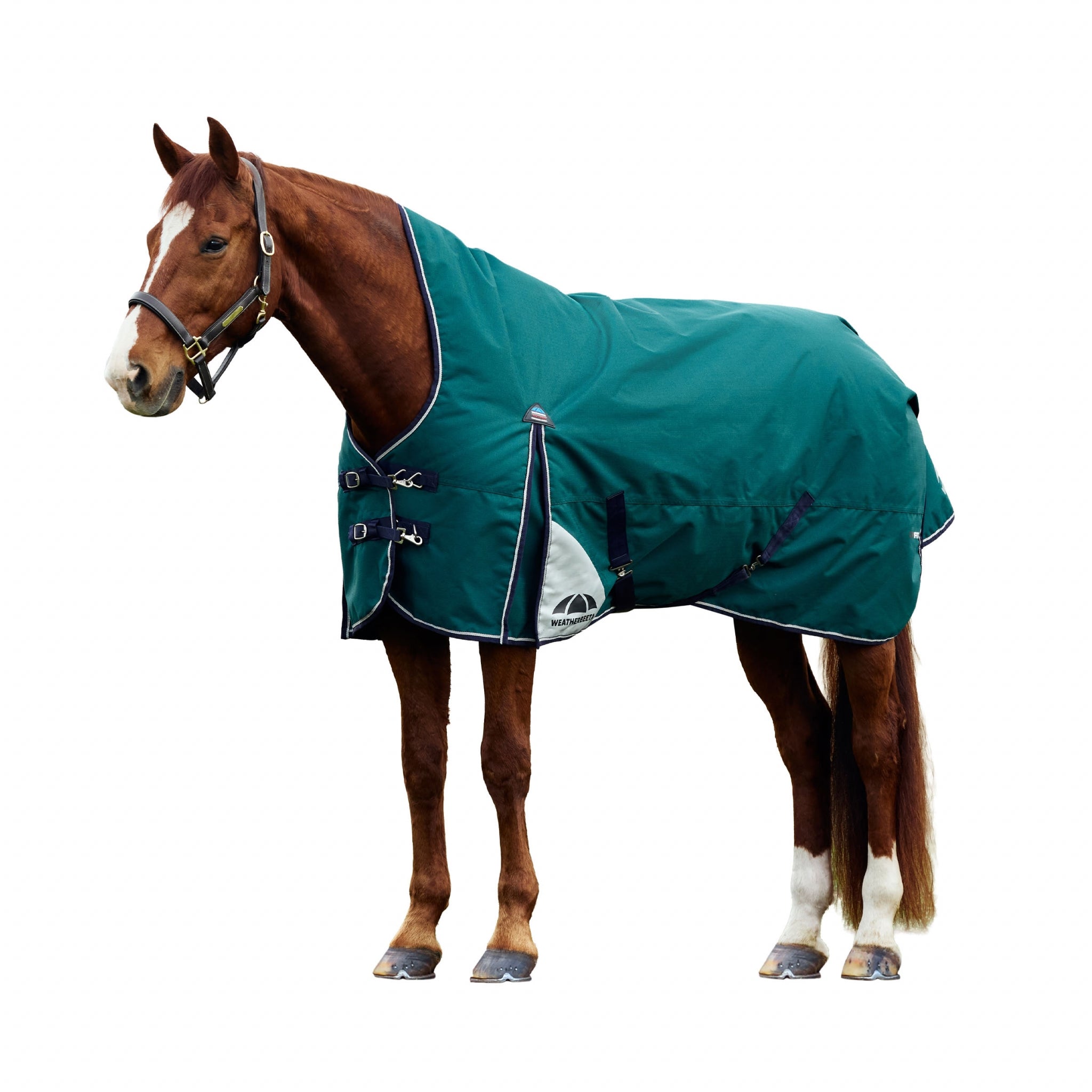 Weatherbeeta ComFiTec Plus Dynamic Turnout High Neck 220g