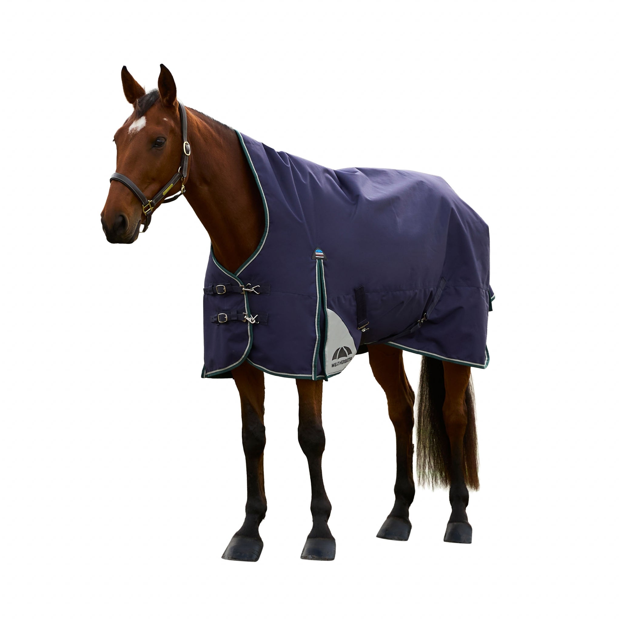 Weatherbeeta ComFiTec Plus Dynamic Turnout High Neck 220g