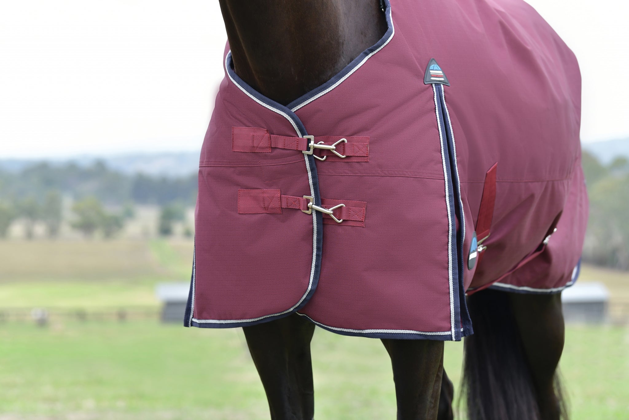 Weatherbeeta ComFiTec Essential Turnout Standard Neck 360g