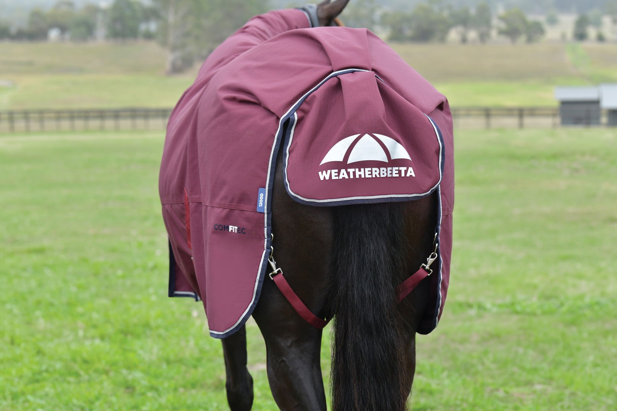 Weatherbeeta ComFiTec Essential Turnout Standard Neck 360g