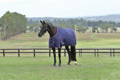 Weatherbeeta ComFiTec Essential Turnout Standard Neck 360g