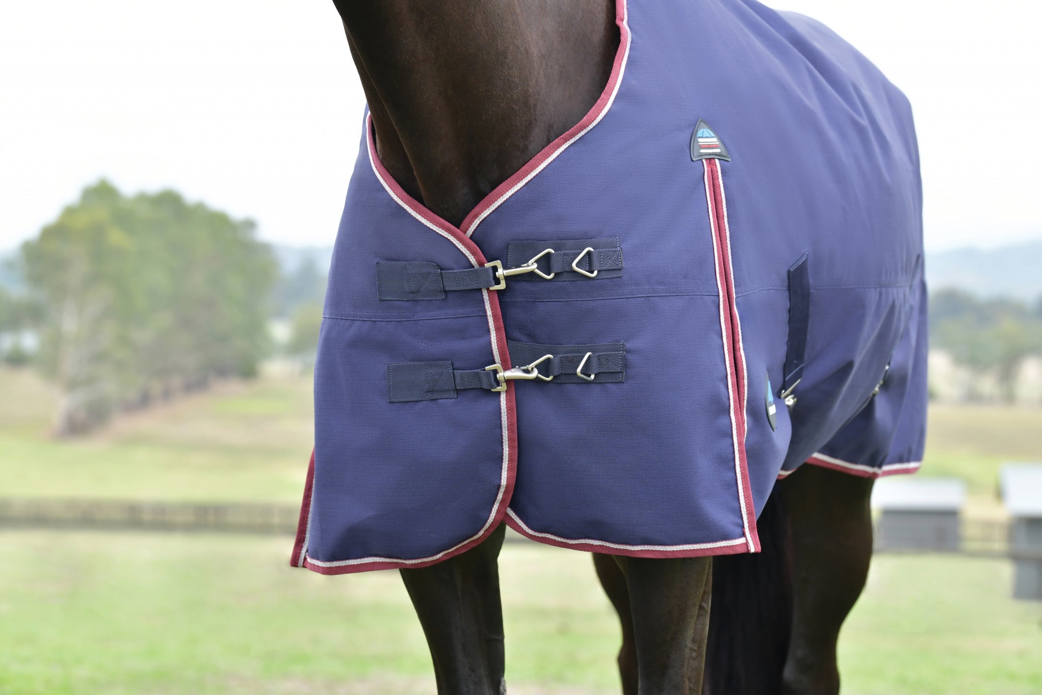Weatherbeeta ComFiTec Essential Turnout Standard Neck 360g