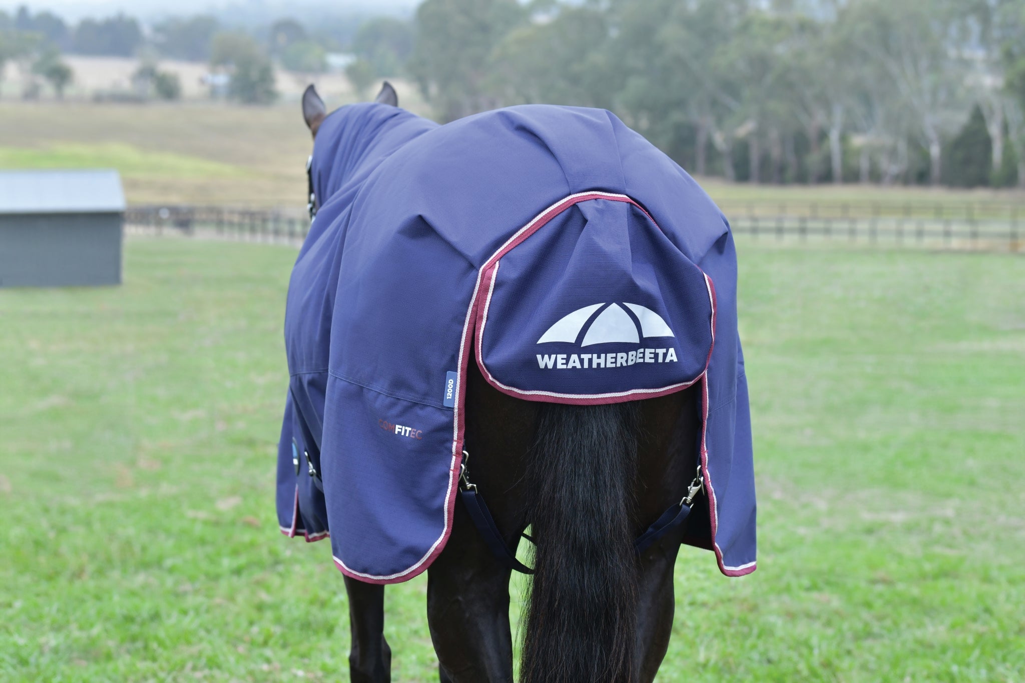 Weatherbeeta ComFiTec Essential Turnout Standard Neck 360g