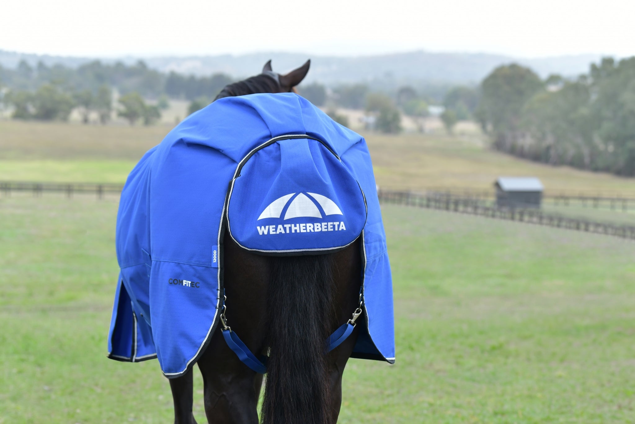 Weatherbeeta ComFiTec Essential Turnout Standard Neck 220g