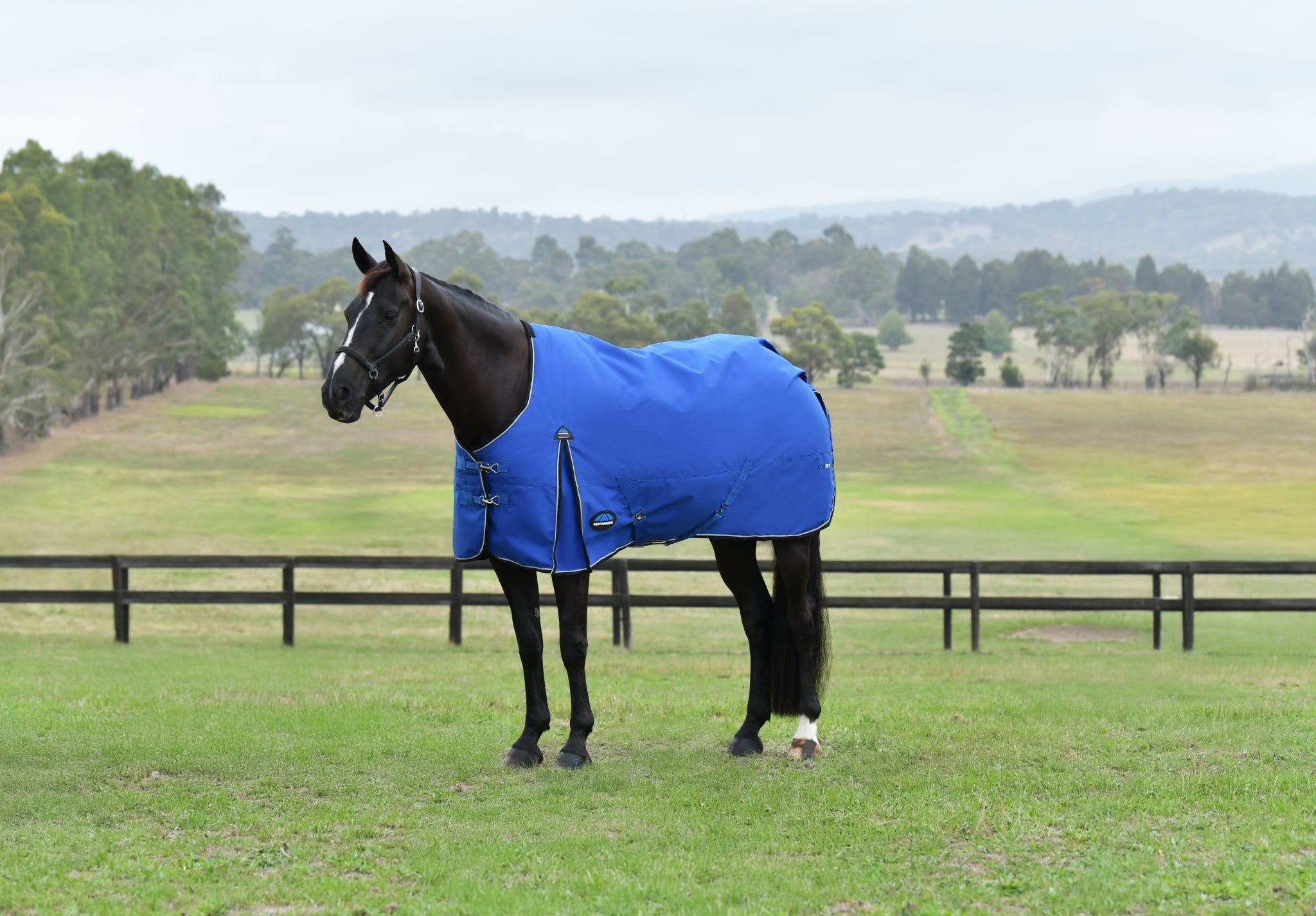 Weatherbeeta ComFiTec Essential Turnout Standard Neck 220g