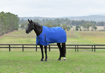 Weatherbeeta ComFiTec Essential Turnout Standard Neck 220g