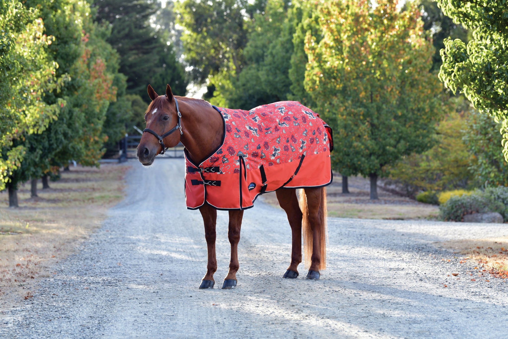 Weatherbeeta ComFiTec Essential Turnout Standard Neck 220g