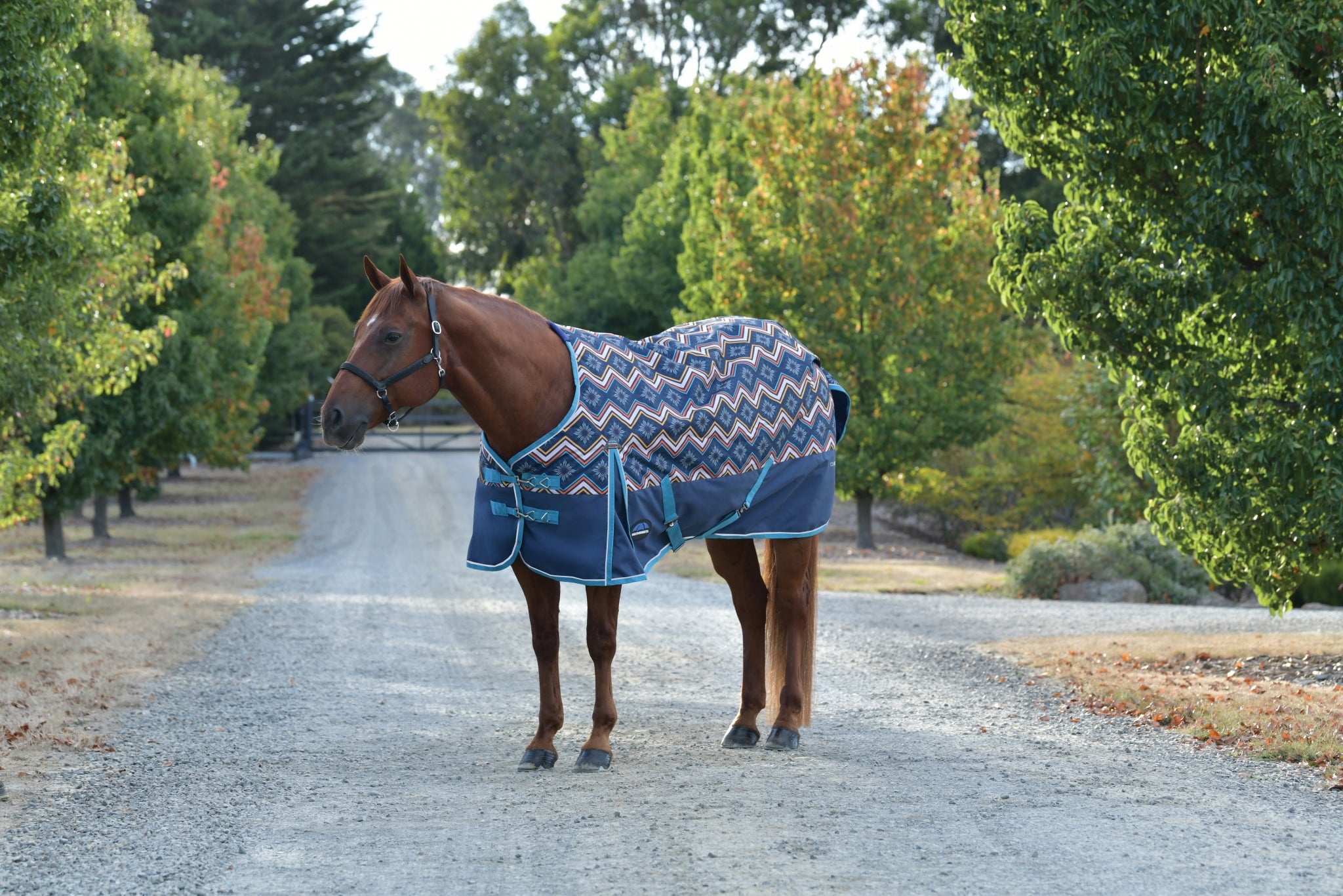 Weatherbeeta ComFiTec Essential Turnout Standard Neck 220g