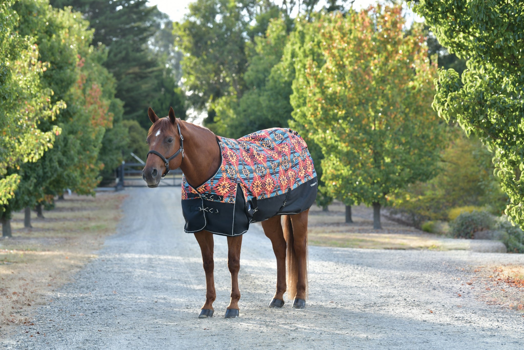 Weatherbeeta ComFiTec Essential Turnout Standard Neck 220g