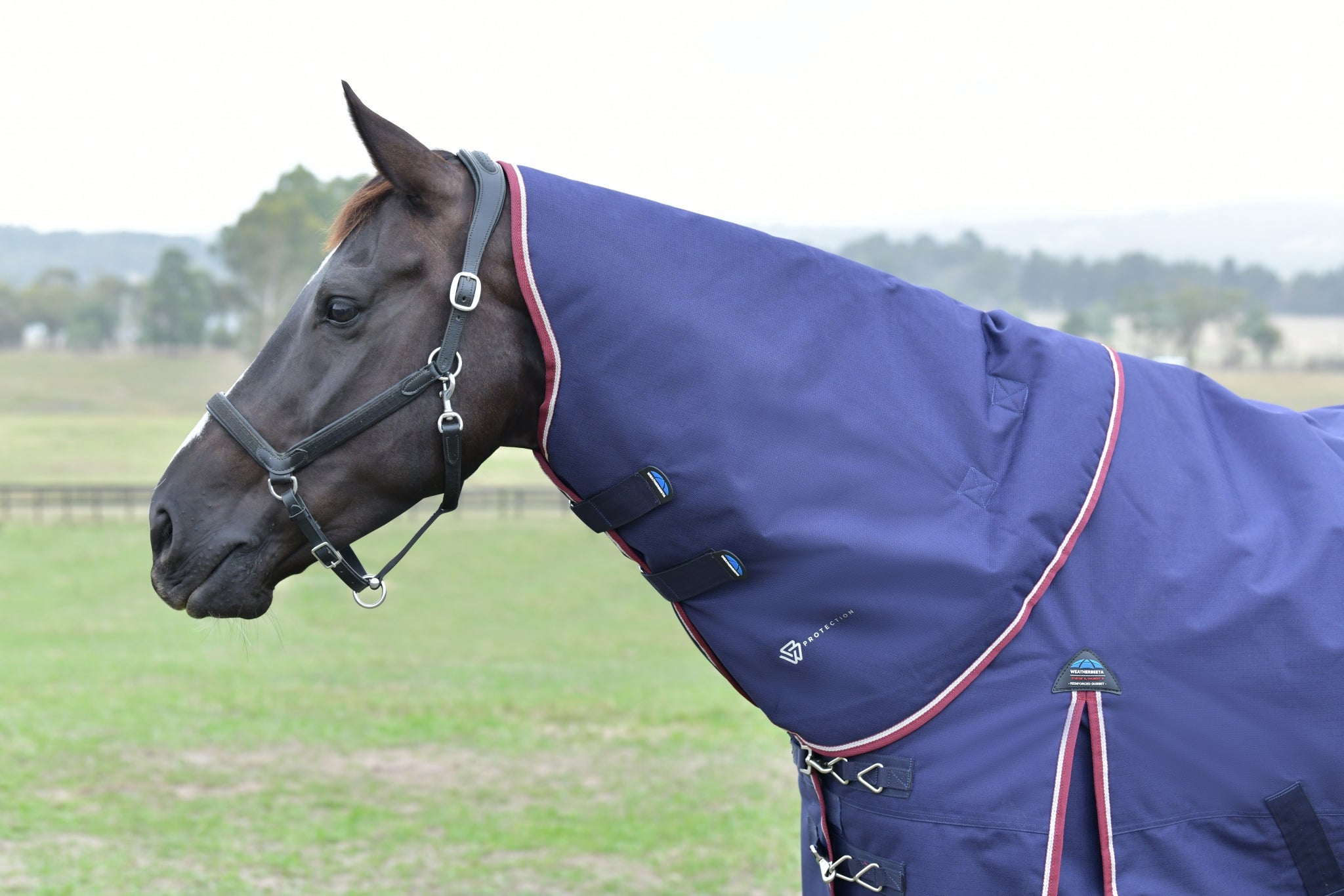 Weatherbeeta ComFiTec Essential Turnout Neck Cover 220g