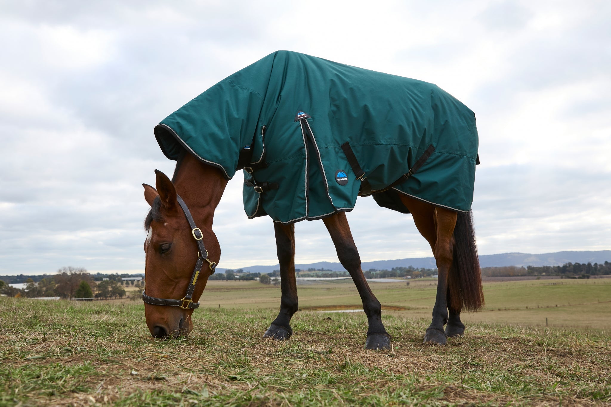 Weatherbeeta ComFiTec Classic Turnout Combo Neck 220g