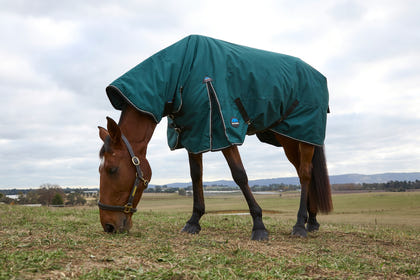 Weatherbeeta ComFiTec Classic Turnout Combo Neck 220g