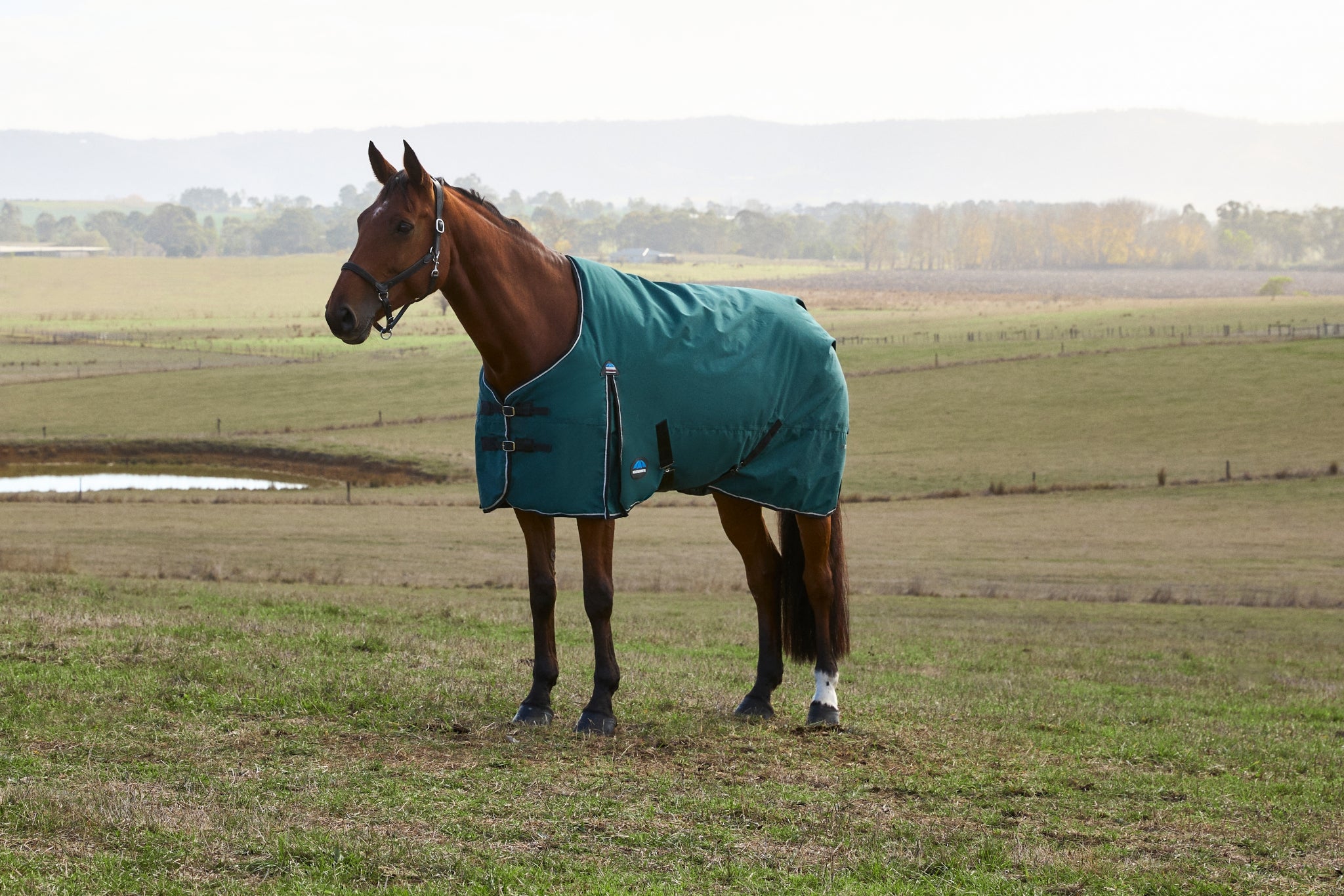 Weatherbeeta ComFiTec Classic Turnout Standard Neck 220g