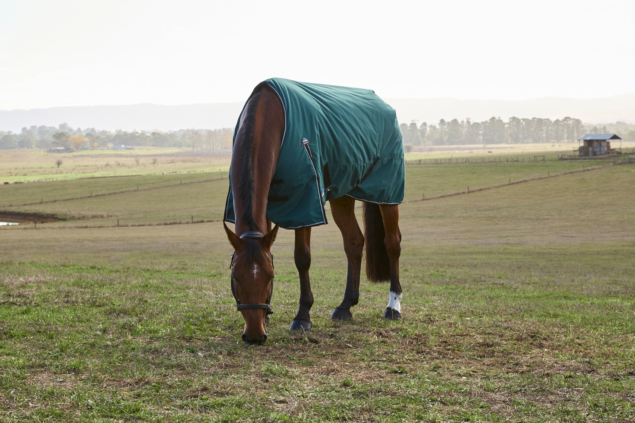 Weatherbeeta ComFiTec Classic Turnout Standard Neck 220g