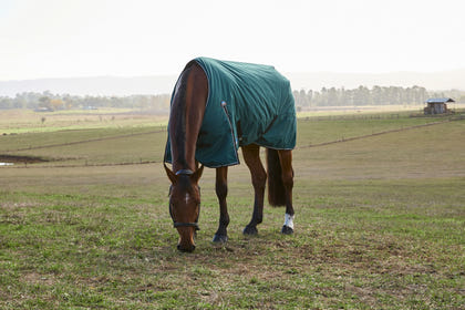 Weatherbeeta ComFiTec Classic Turnout Standard Neck 220g