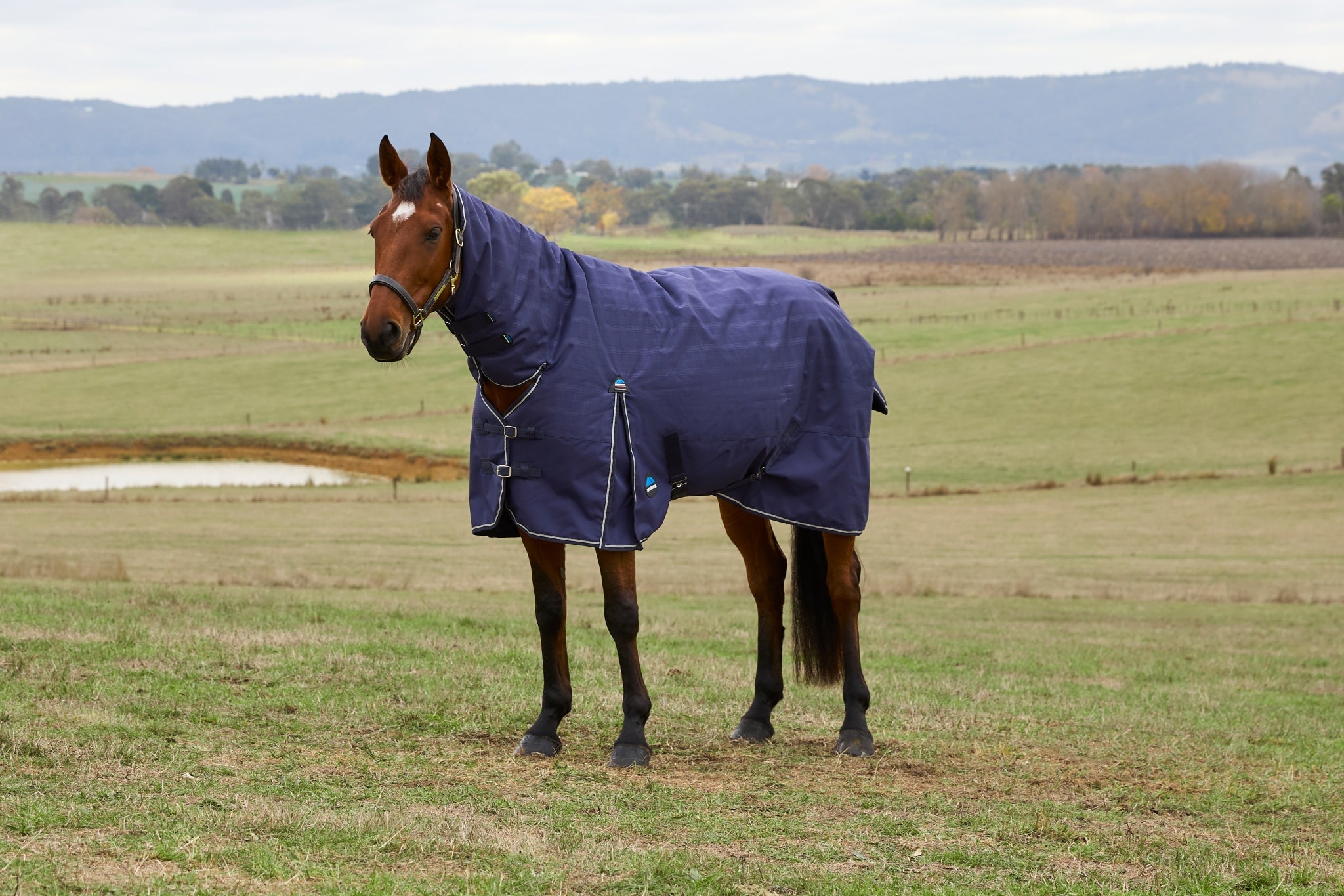 Weatherbeeta ComFiTec Prelim Turnout Combo Neck 220g