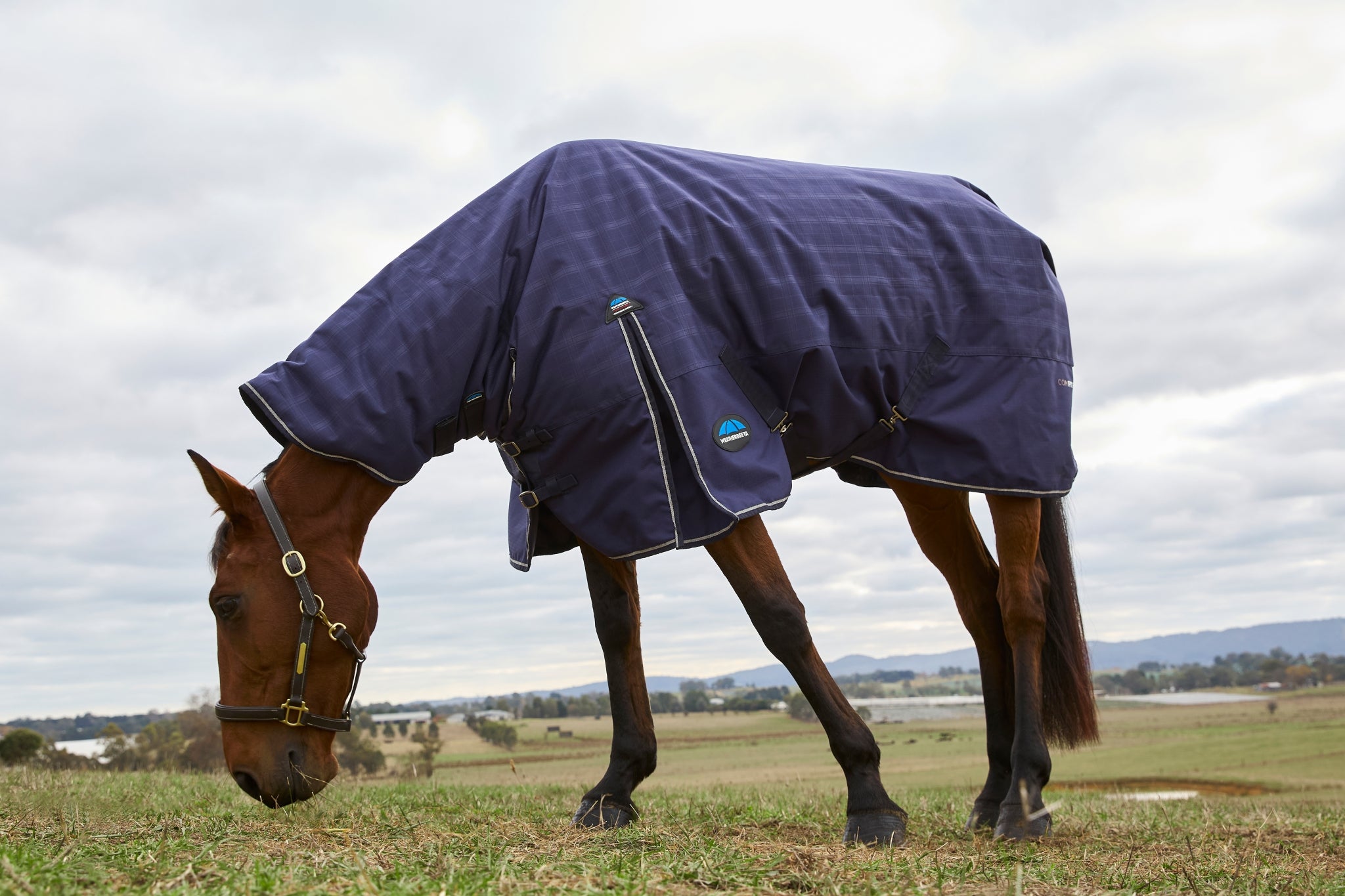 Weatherbeeta ComFiTec Prelim Turnout Combo Neck 220g