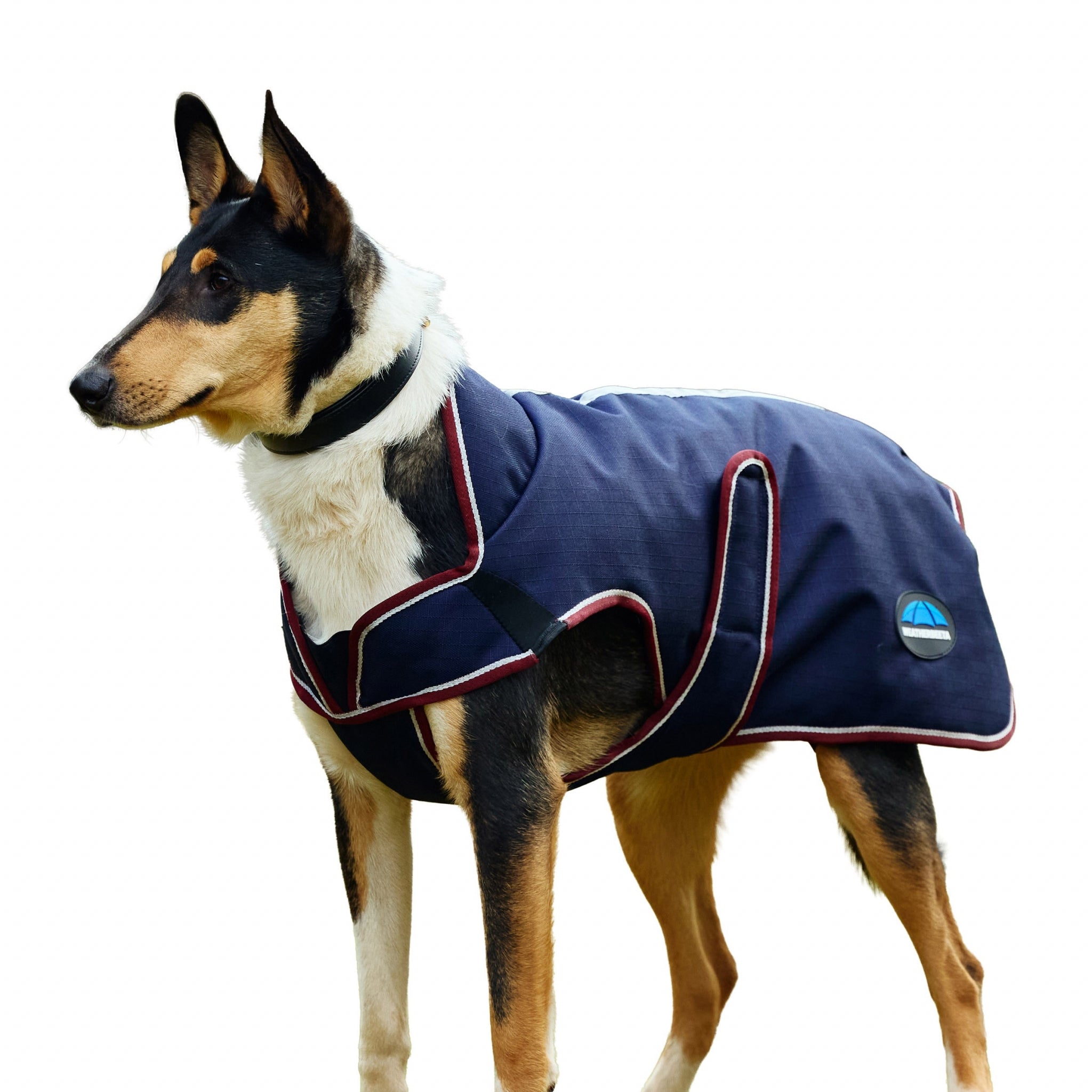 Weatherbeeta ComFiTec Premier Deluxe Waterproof Dog Coat