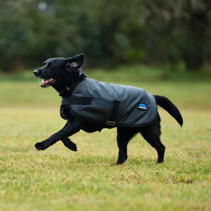 Weatherbeeta ComFiTec Classic Waterproof Dog Coat