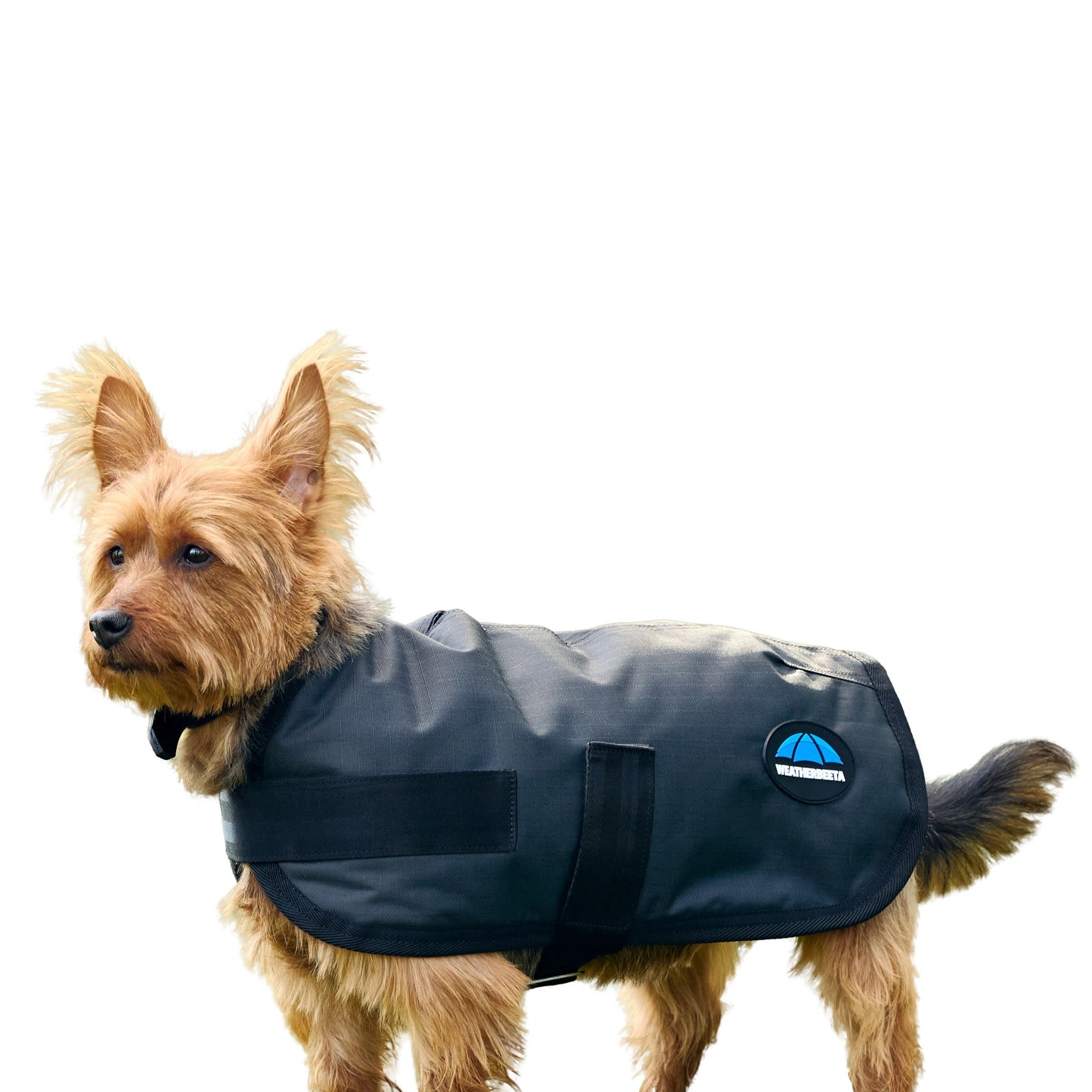 Weatherbeeta ComFiTec Classic Waterproof Dog Coat