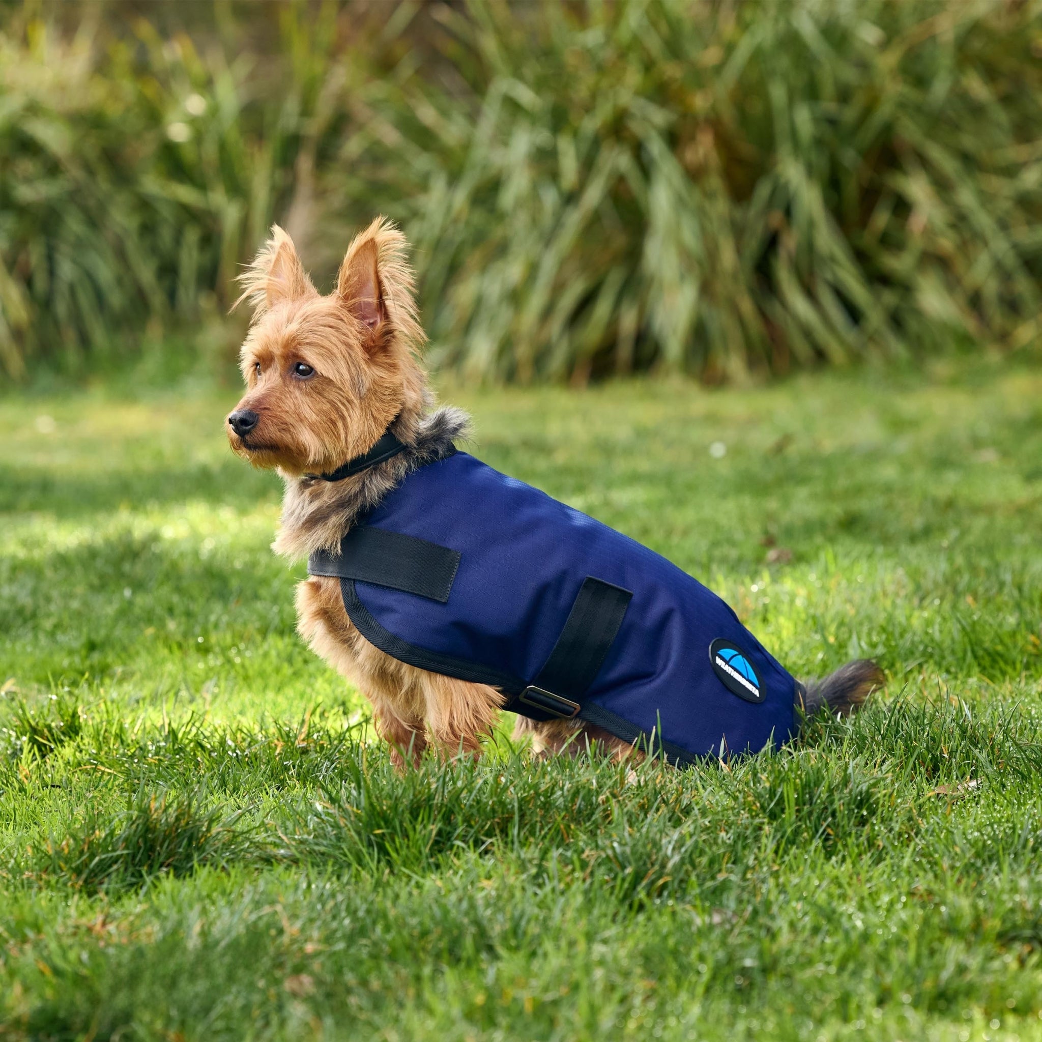 Weatherbeeta ComFiTec Classic Waterproof Dog Coat