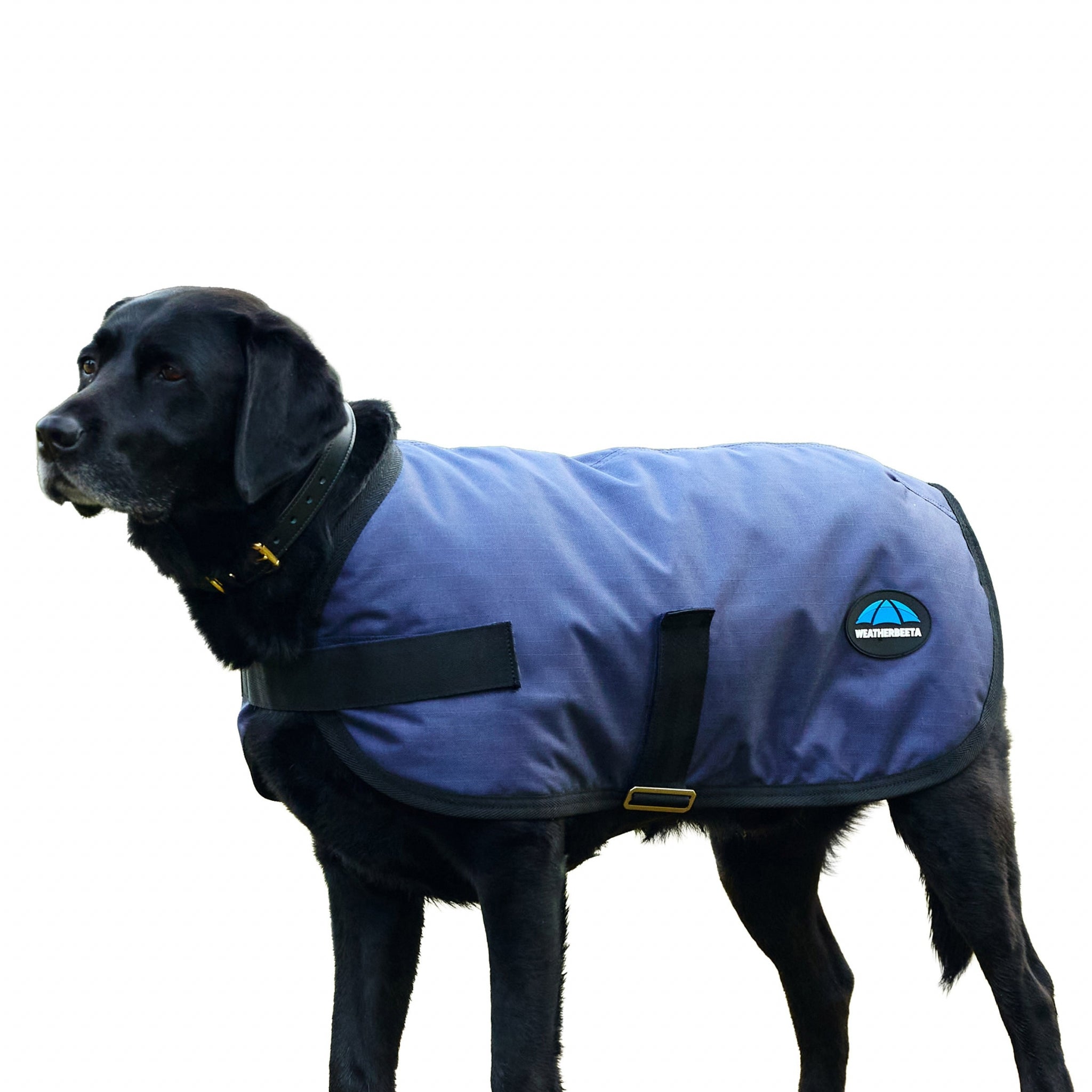 Weatherbeeta ComFiTec Classic Waterproof Dog Coat