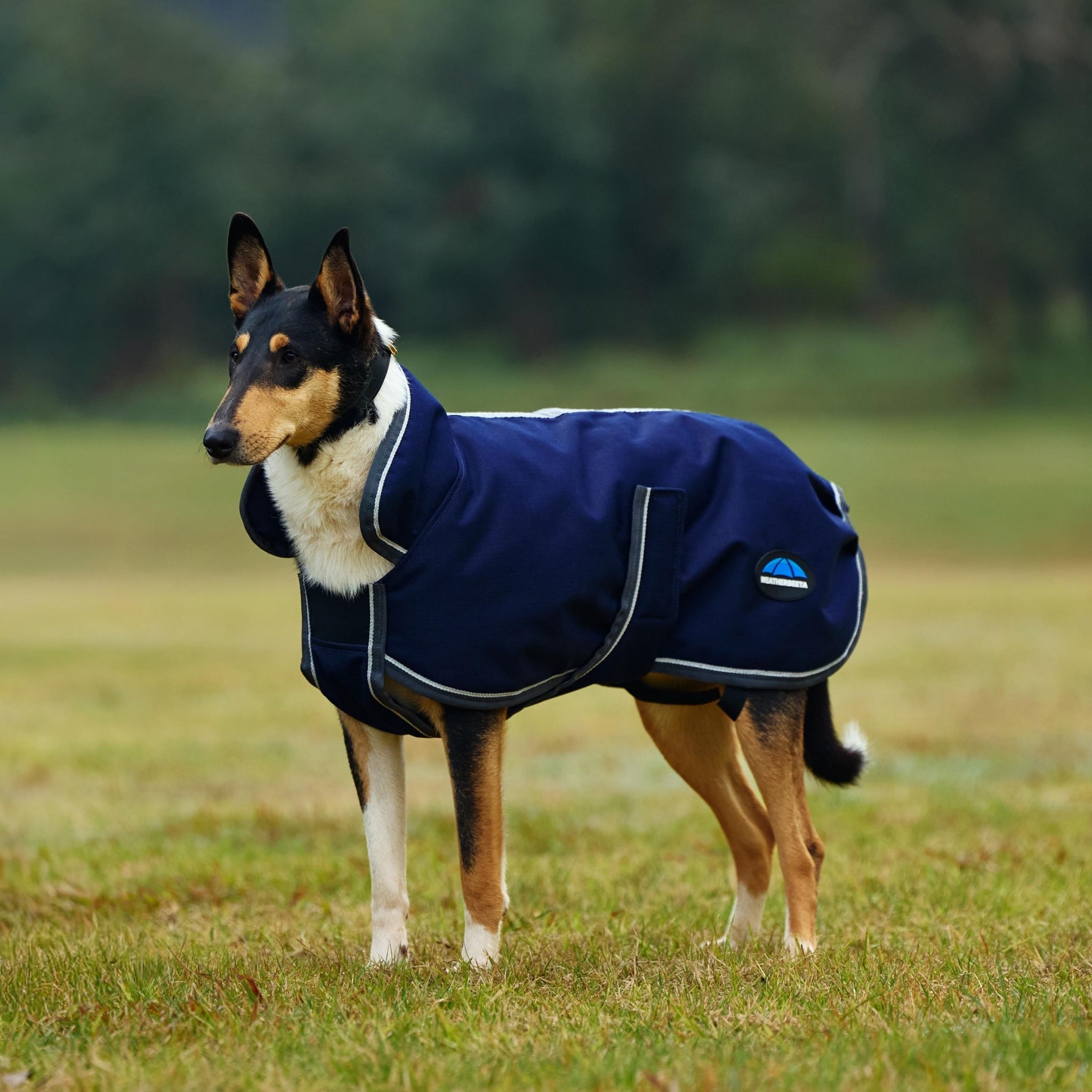 Weatherbeeta ComFiTec 1200D Deluxe Waterproof Dog Coat