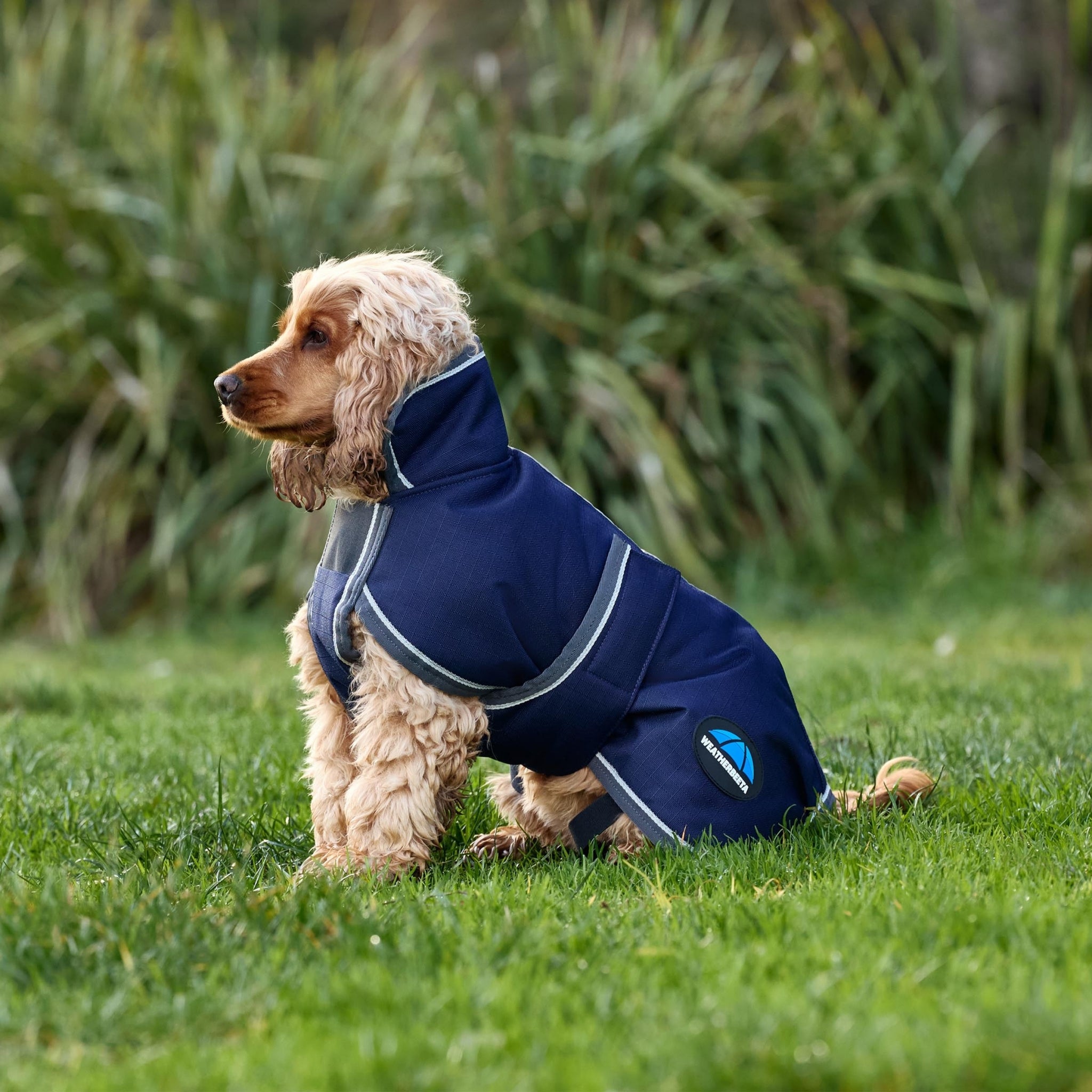Weatherbeeta ComFiTec 1200D Deluxe Waterproof Dog Coat