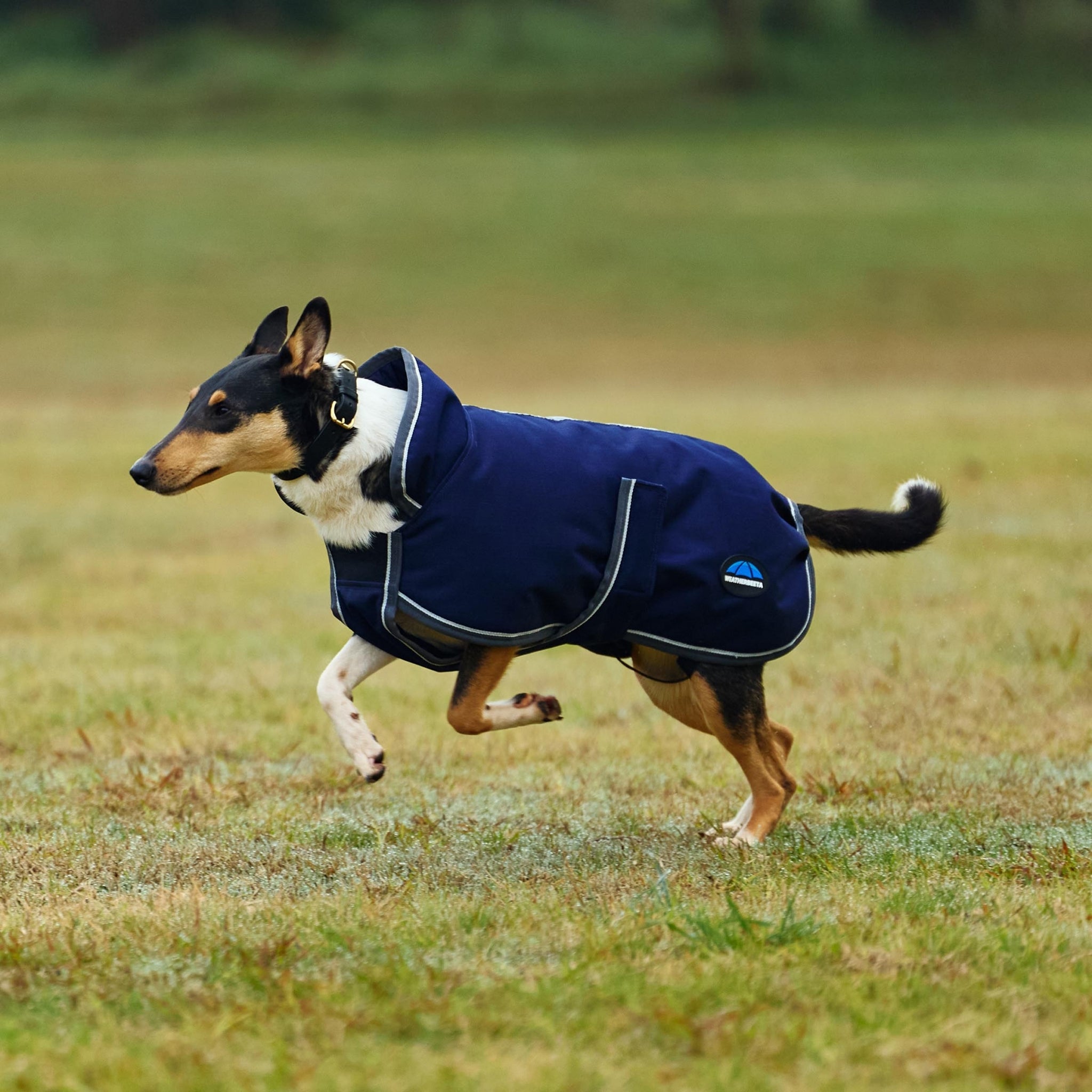 Weatherbeeta ComFiTec 1200D Deluxe Waterproof Dog Coat