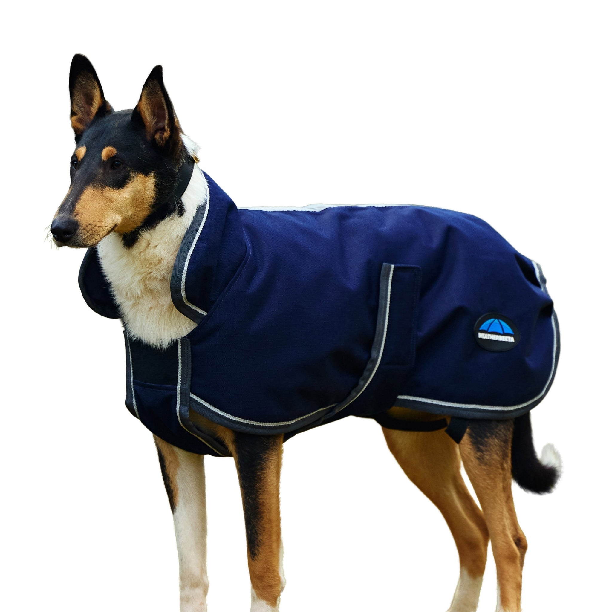 Weatherbeeta ComFiTec 1200D Deluxe Waterproof Dog Coat