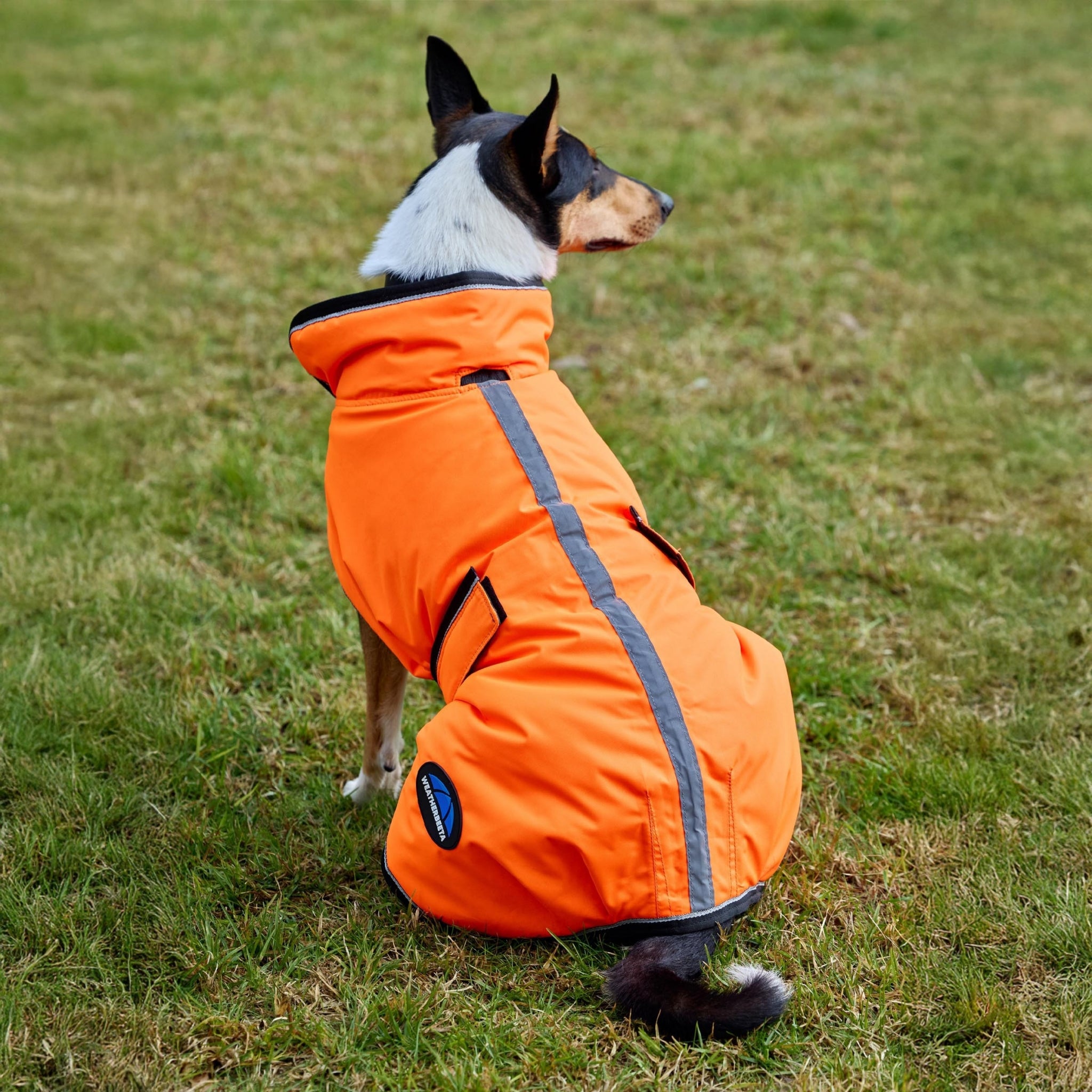 Weatherbeeta ComFiTec Reflective 300D Deluxe Showerproof Dog