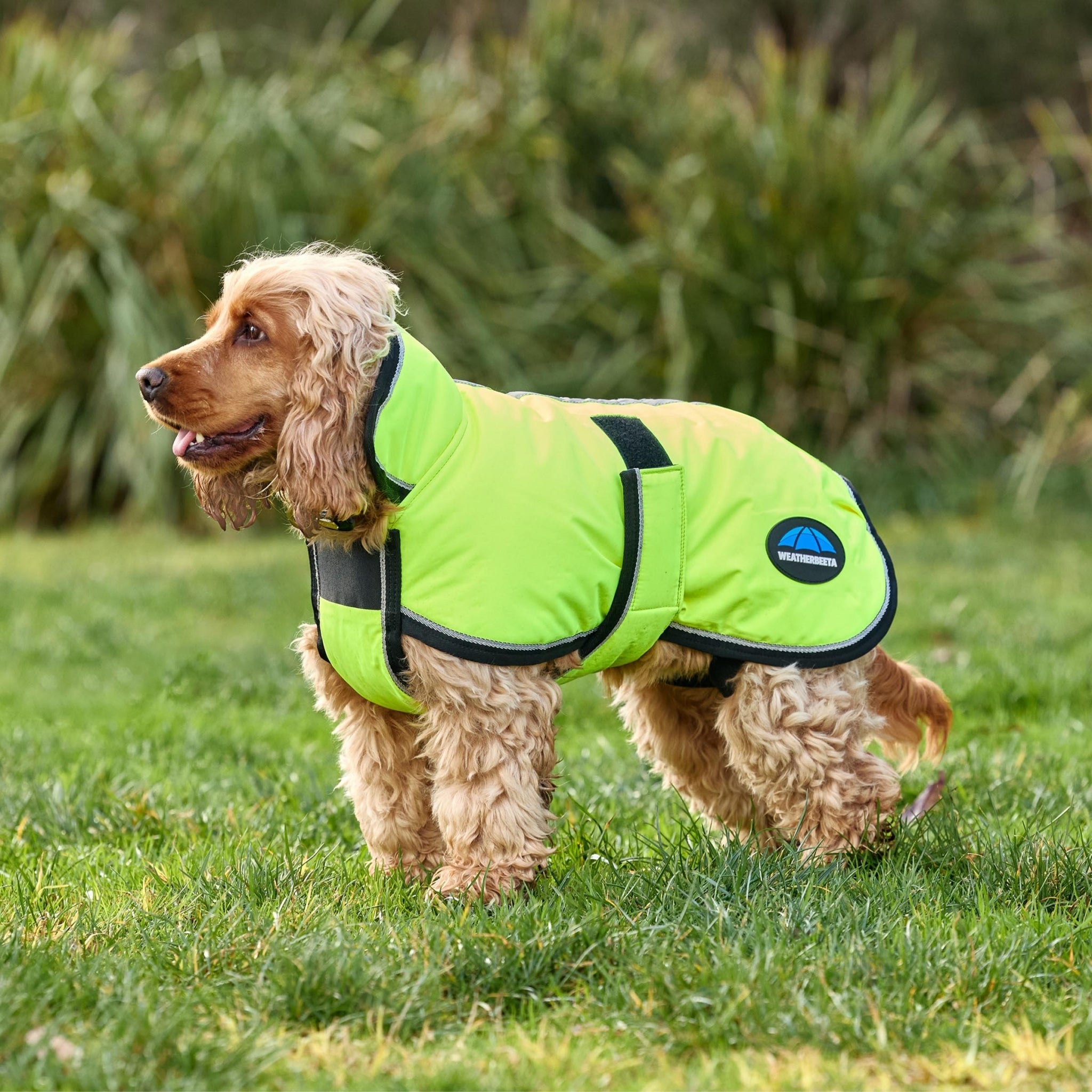 Weatherbeeta ComFiTec Reflective 300D Deluxe Showerproof Dog