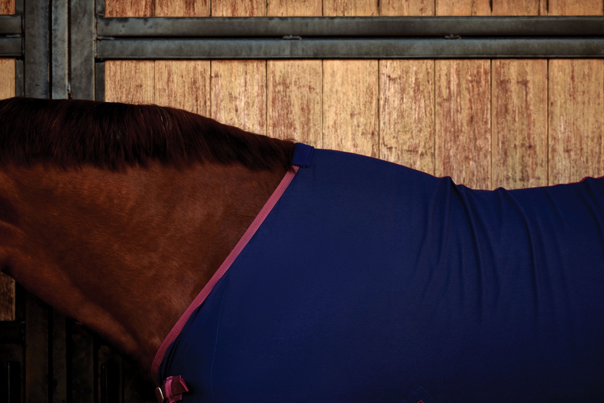 Weatherbeeta Cotton Sheet Standard Neck