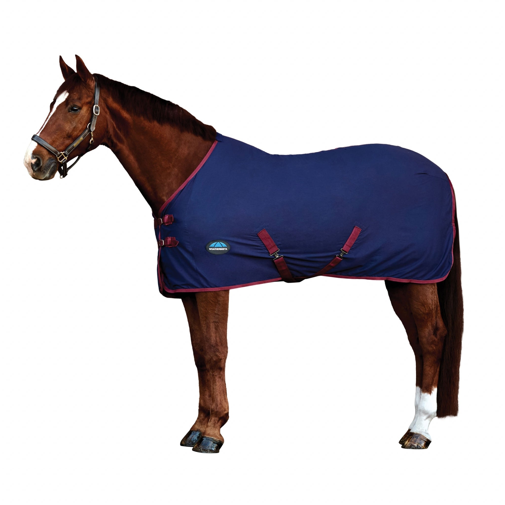 Weatherbeeta Cotton Sheet Standard Neck