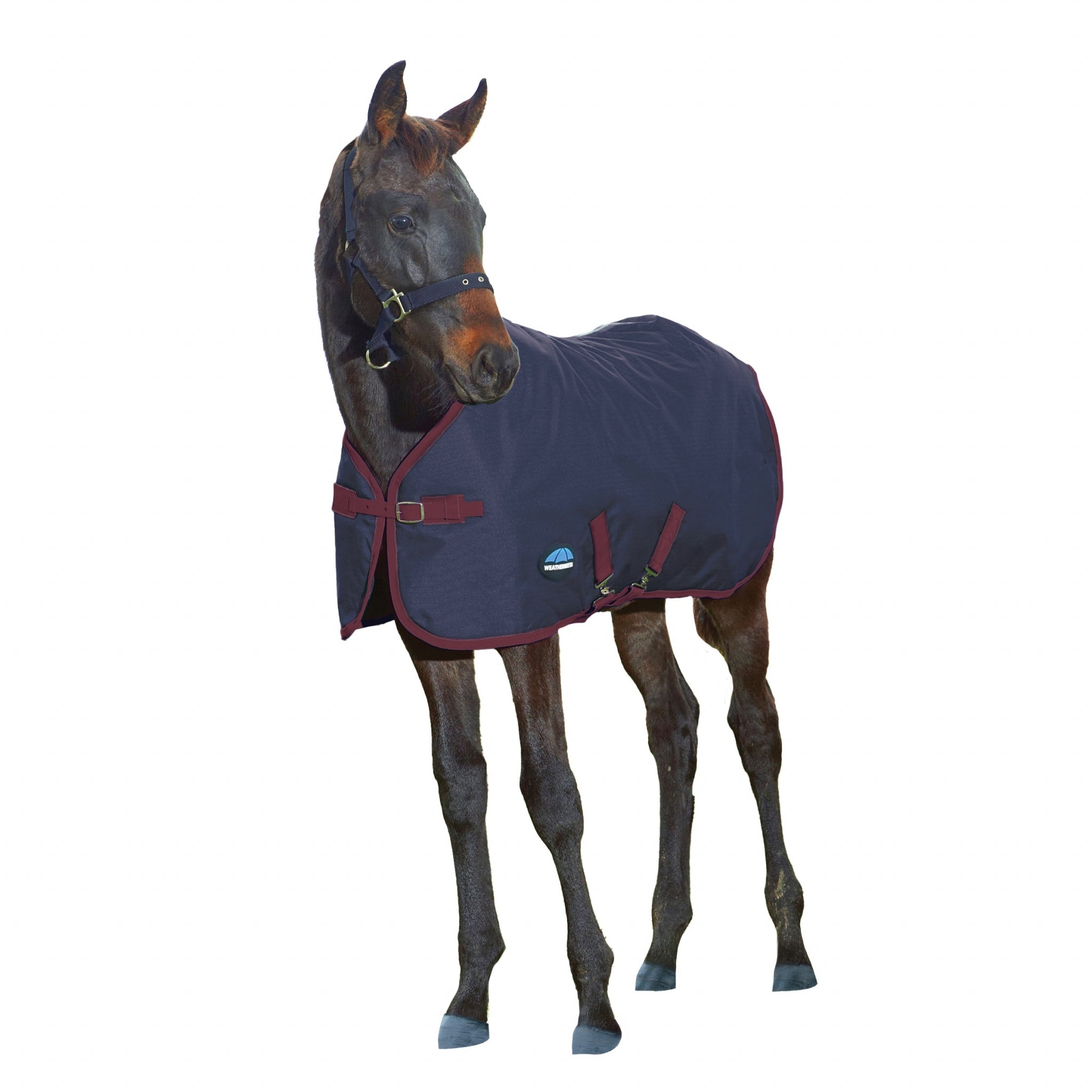 Weatherbeeta 1200D Foal Standard Neck 220g
