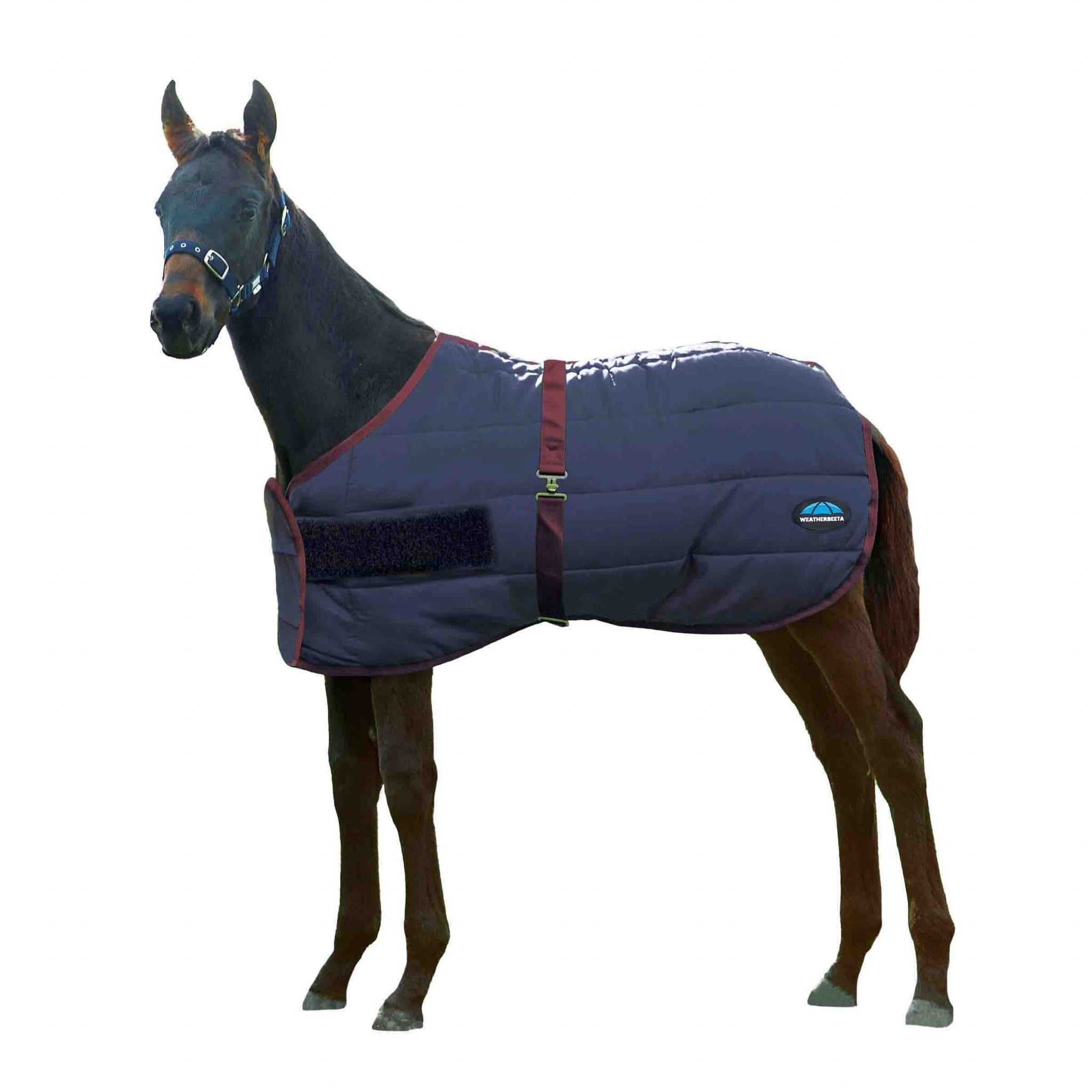 Weatherbeeta 420D Foal Standard Neck Medium
