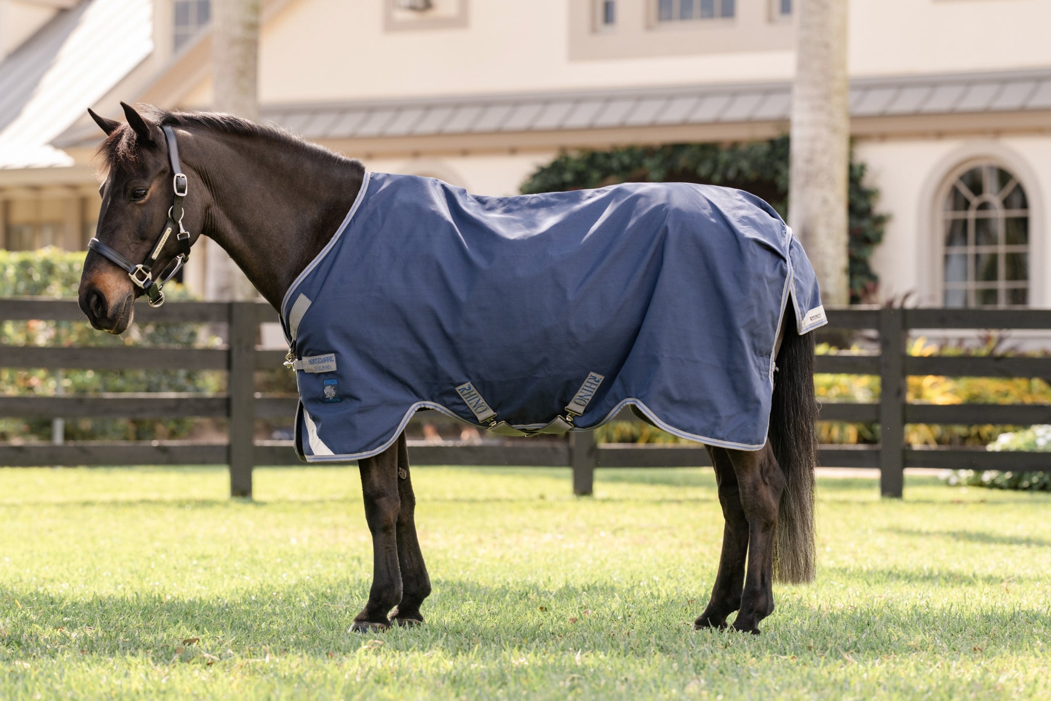 Rhino Turnout 100g 66 Navy/Gray