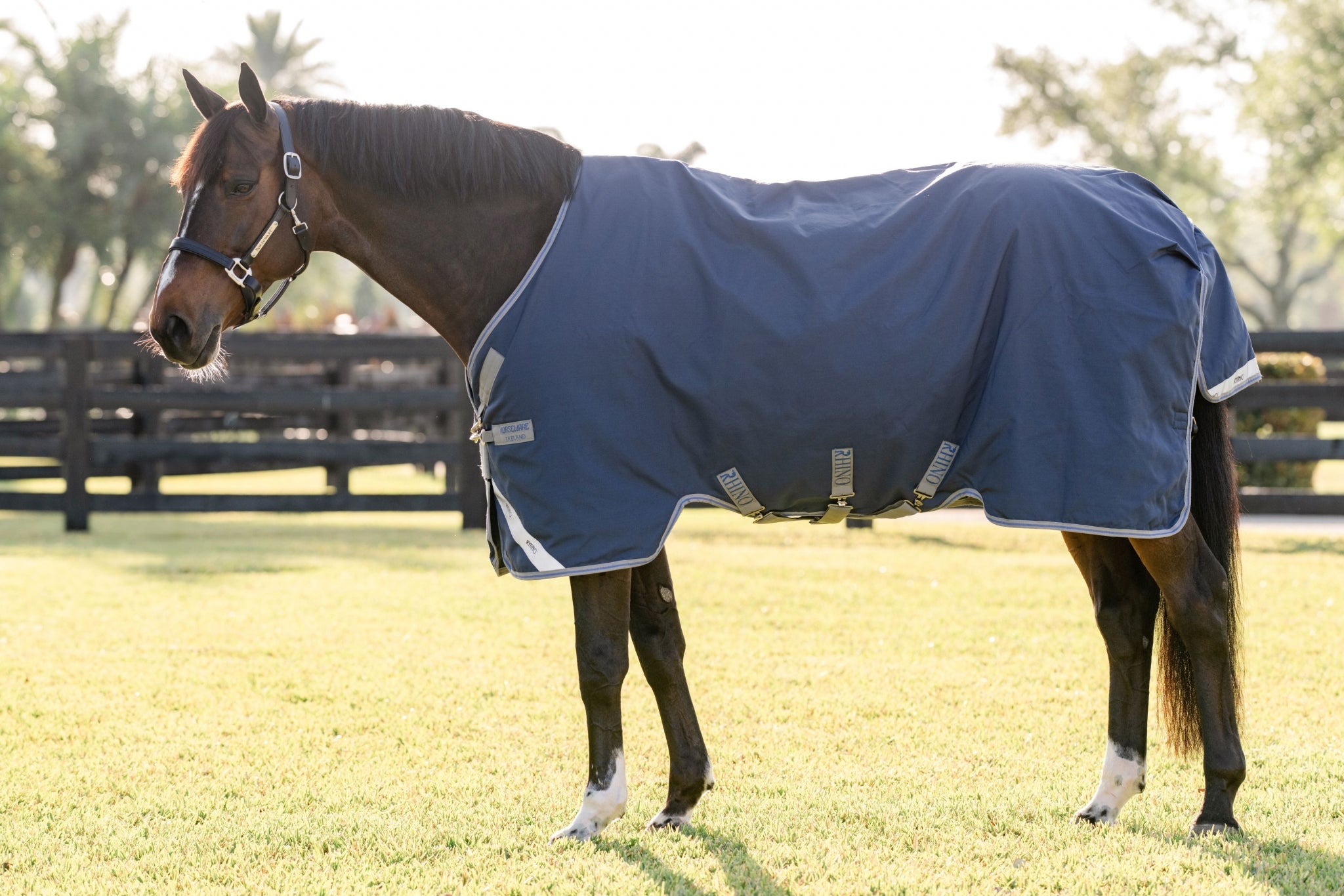Rhino Pony Turnout 100g