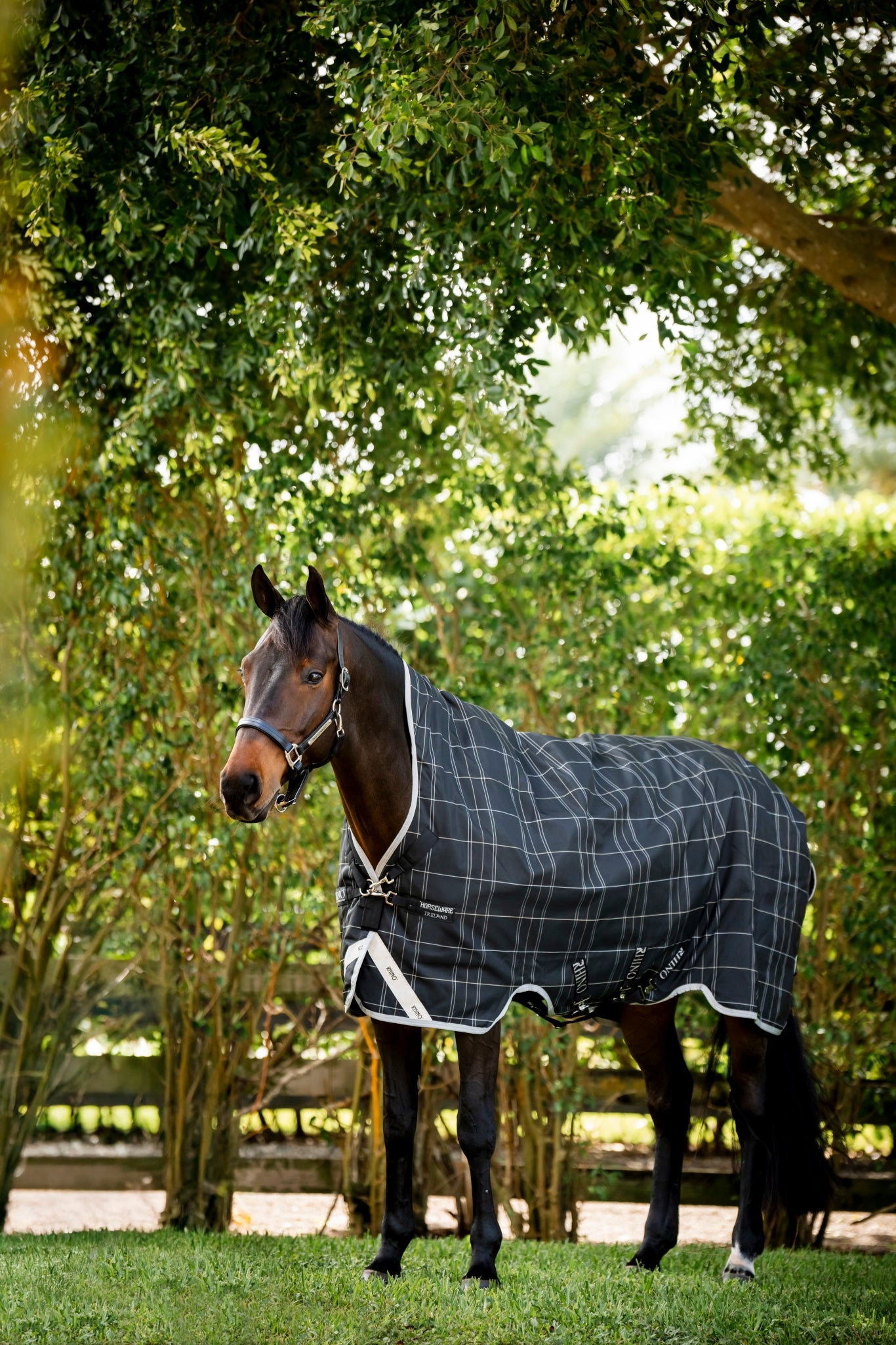Rhino Wug Pony Turnout 0g