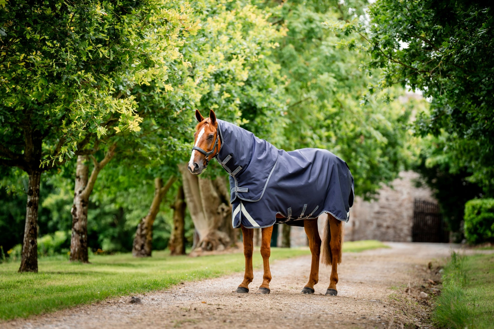 Rambo Duo Ripstop Plus Turnout Bundle